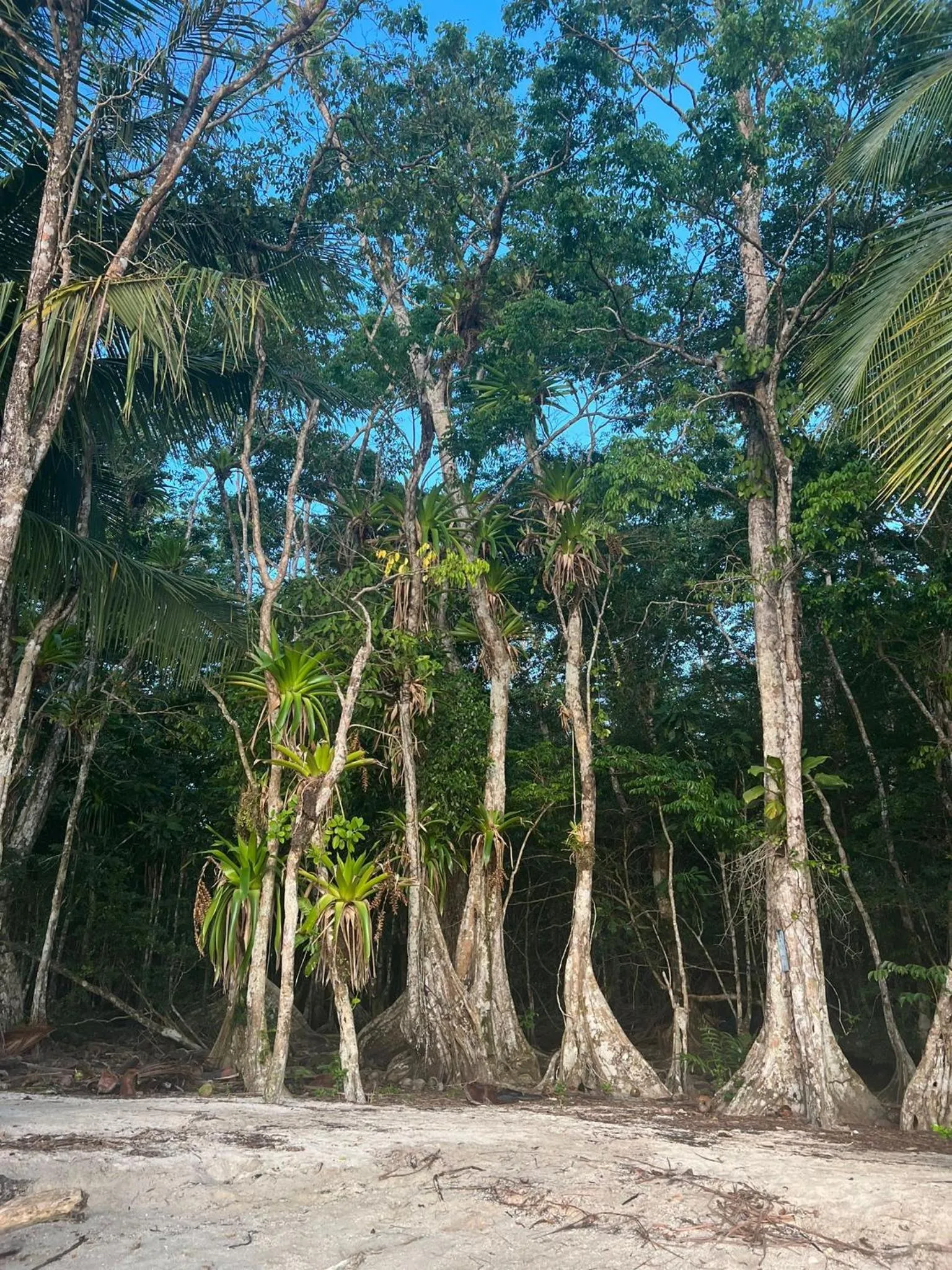 Natural landscape in RIVA B&B