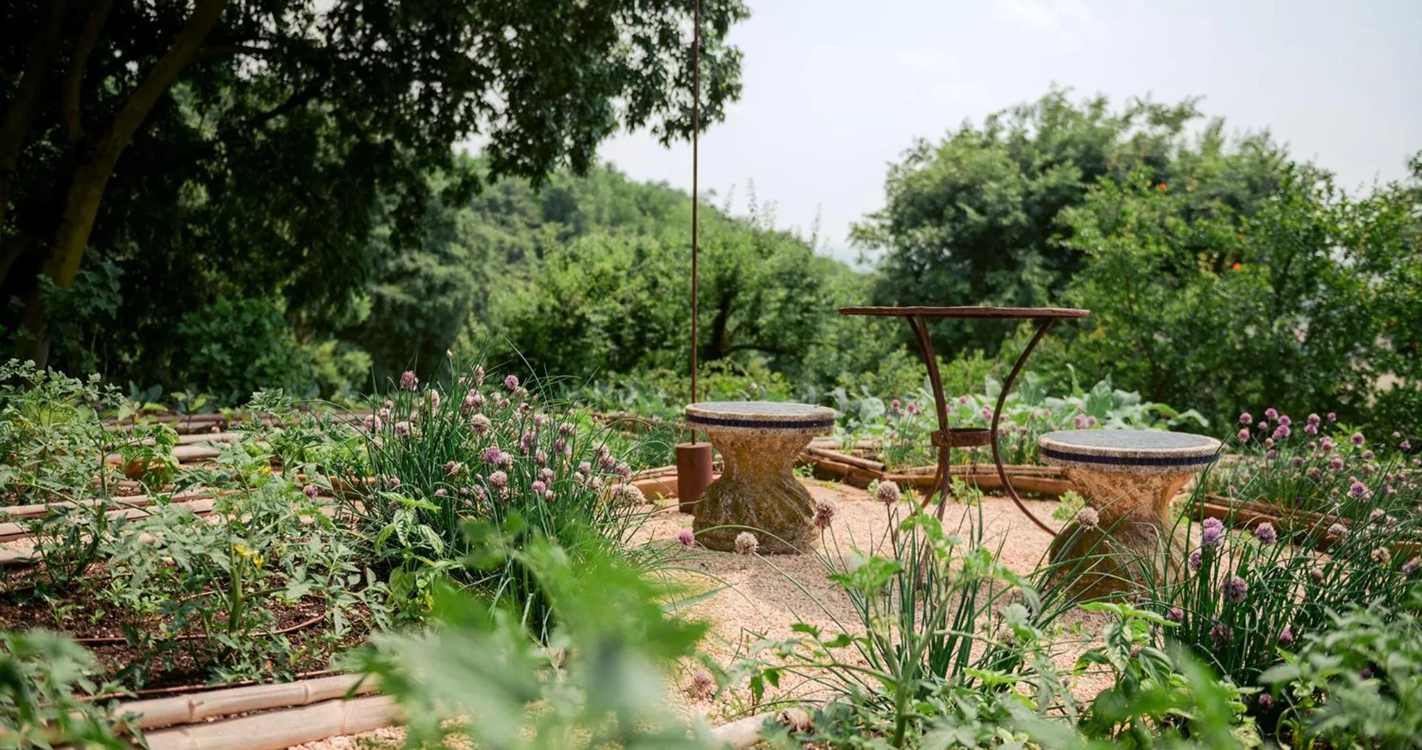 Bird's eye view in Cappuccini Resort