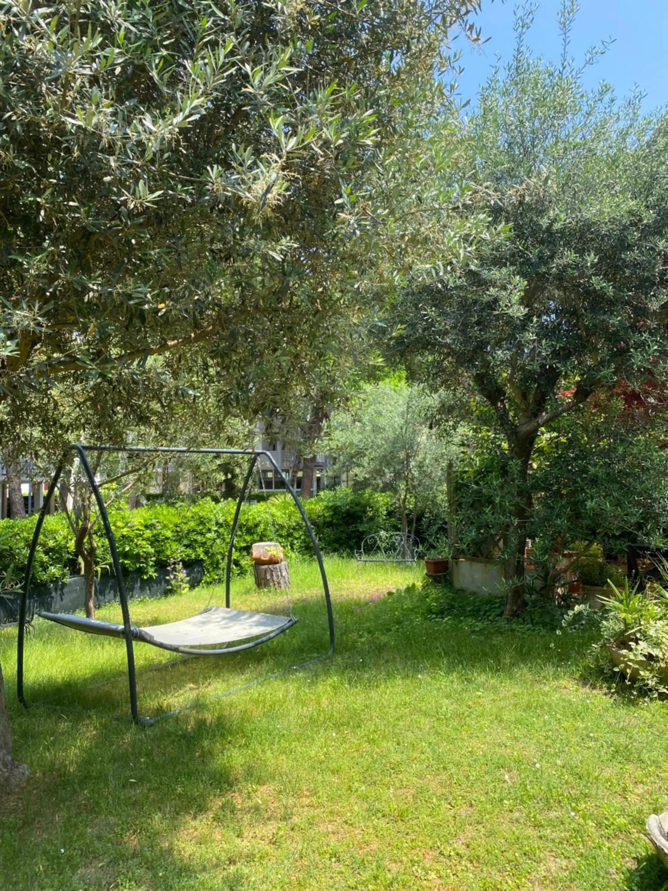 Garden in Hotel Rosapineta - Adults Only