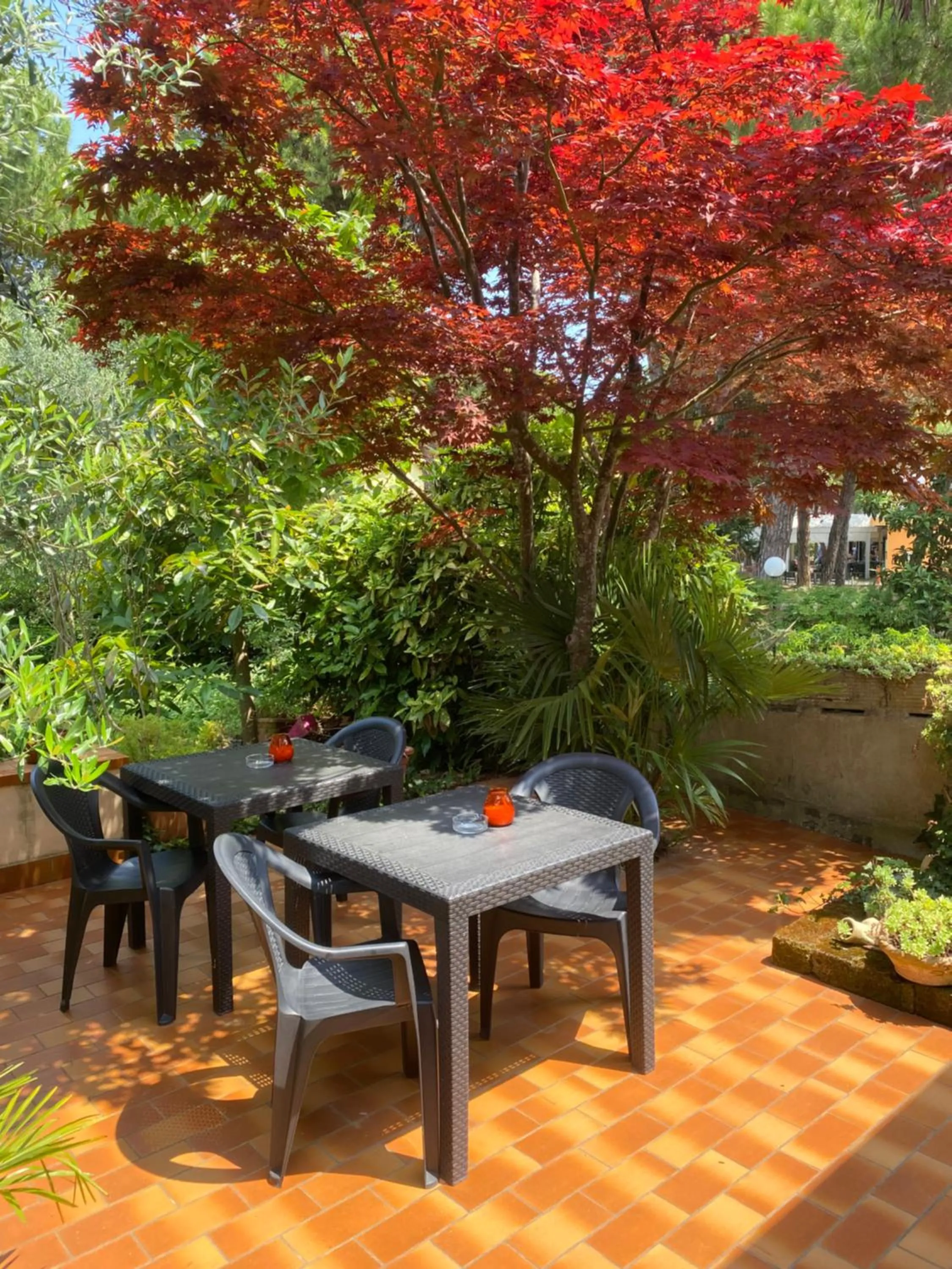 Garden in Hotel Rosapineta - Adults Only