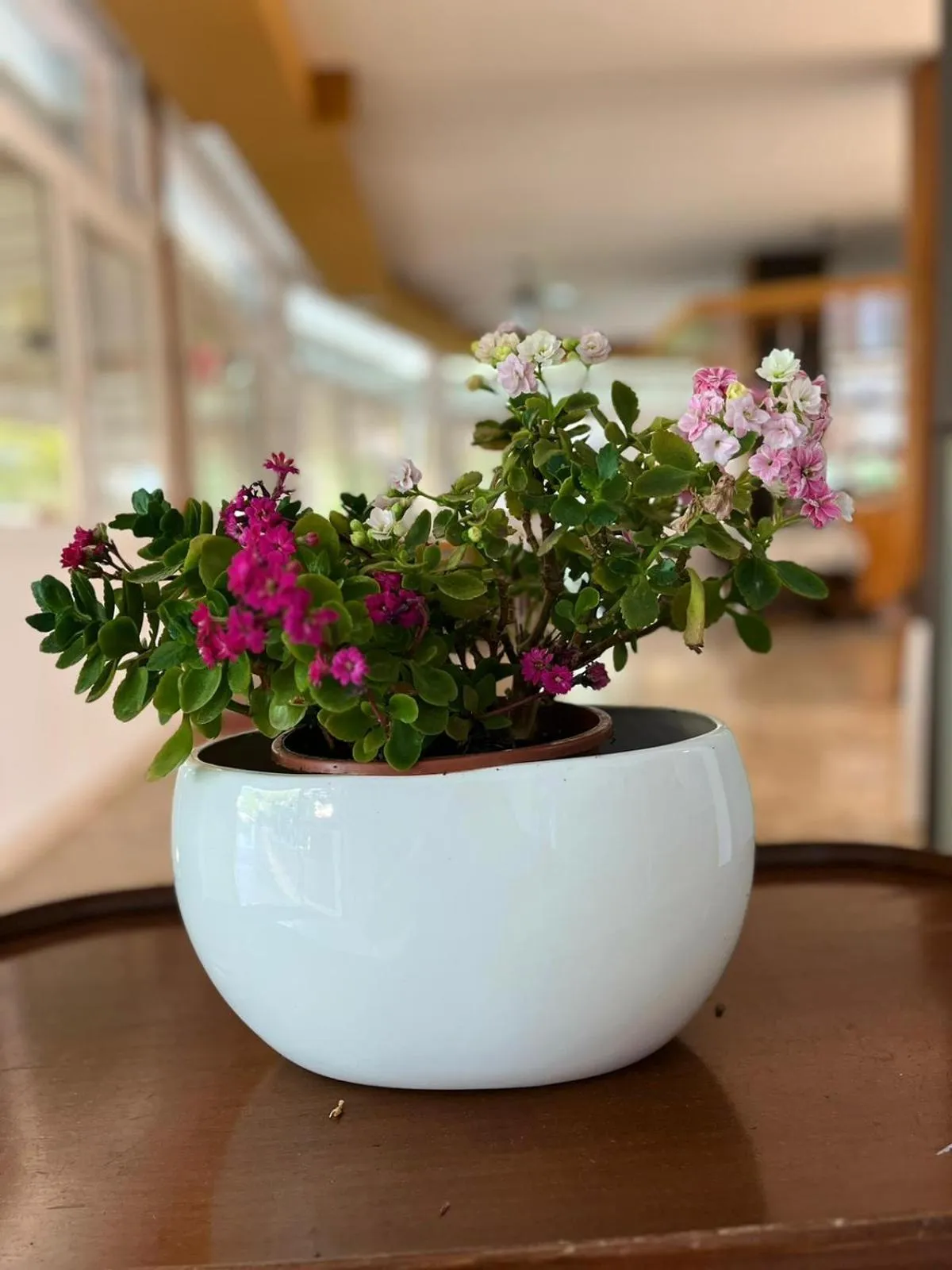 Breakfast in Hotel Rosapineta - Adults Only