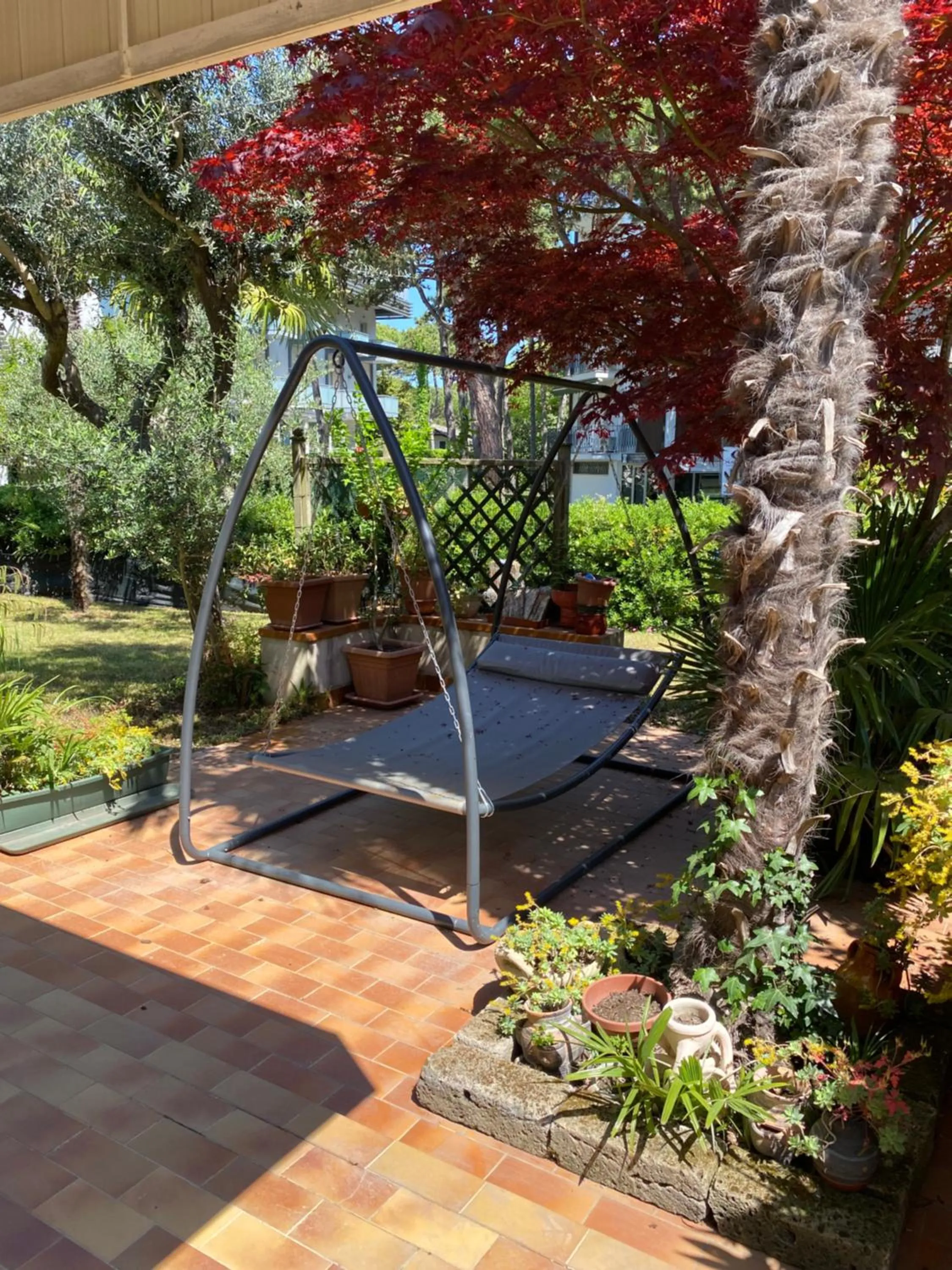 Garden in Hotel Rosapineta - Adults Only