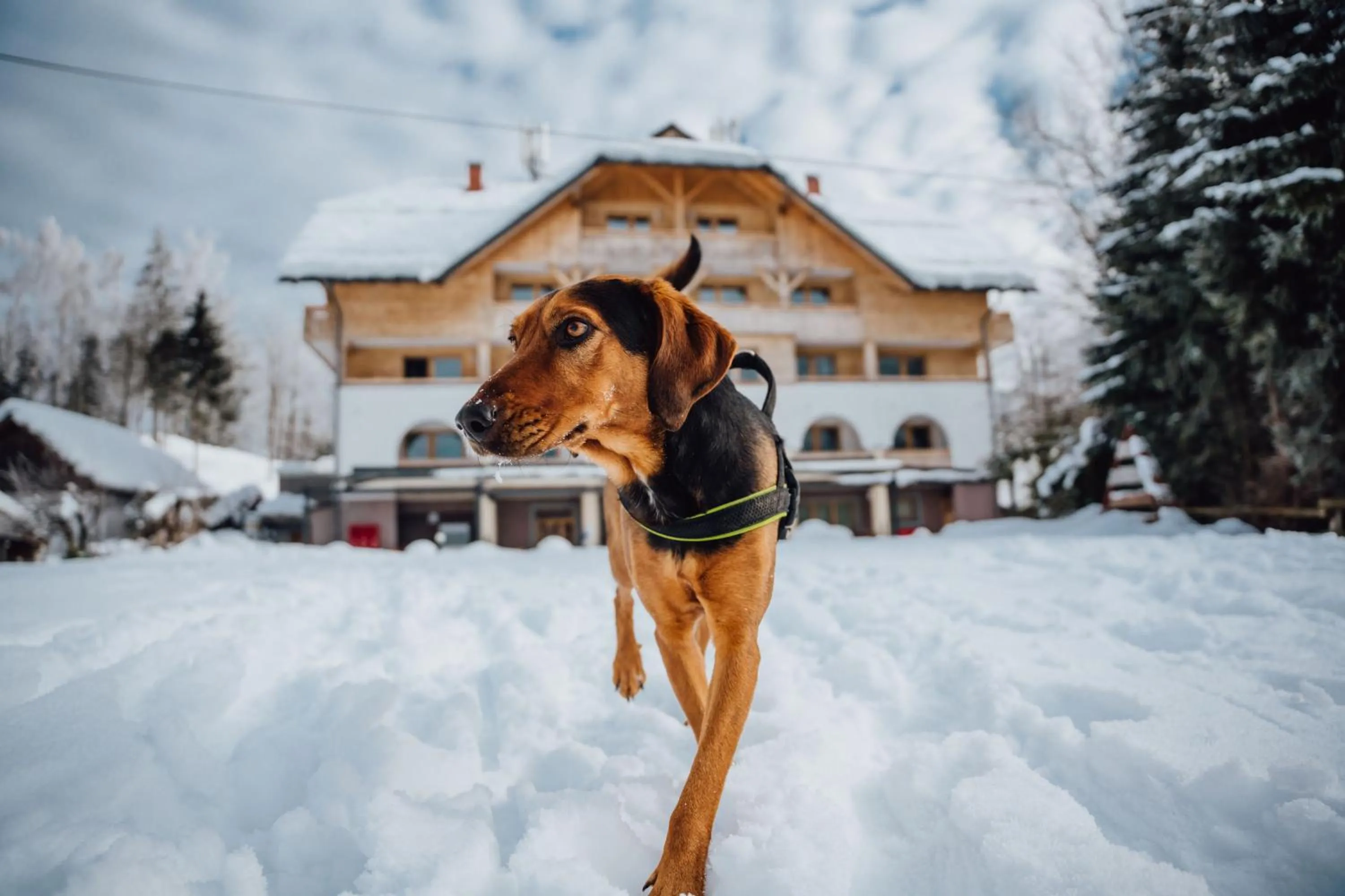 Property building in Apartmaji Triglav