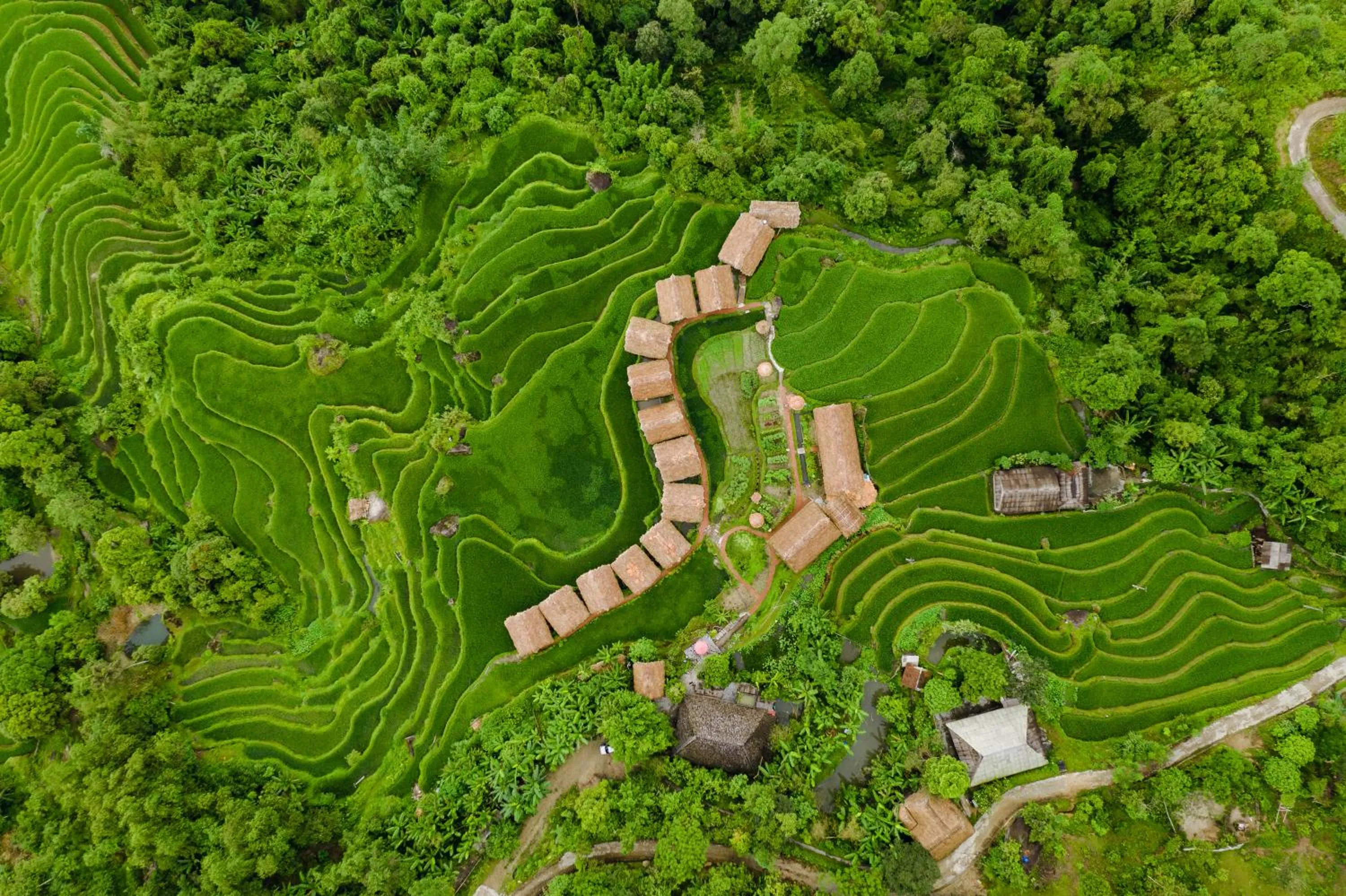 Bird's eye view in Hoang Su Phi Lodge