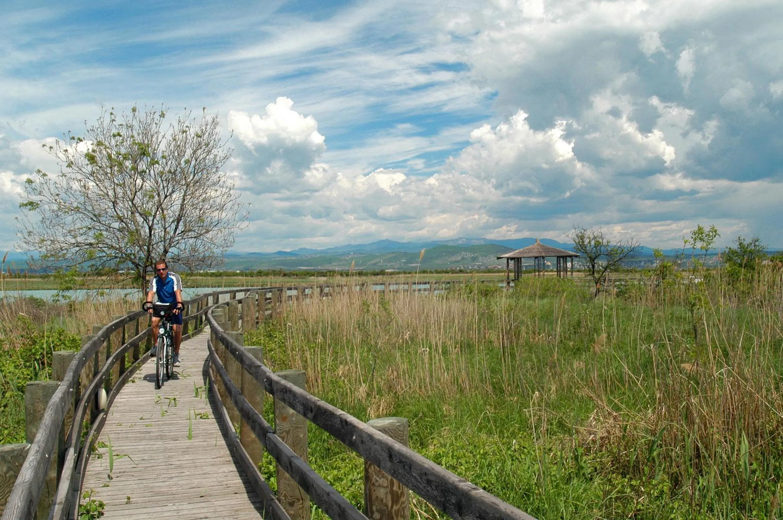 Natural landscape in Hotel Eden