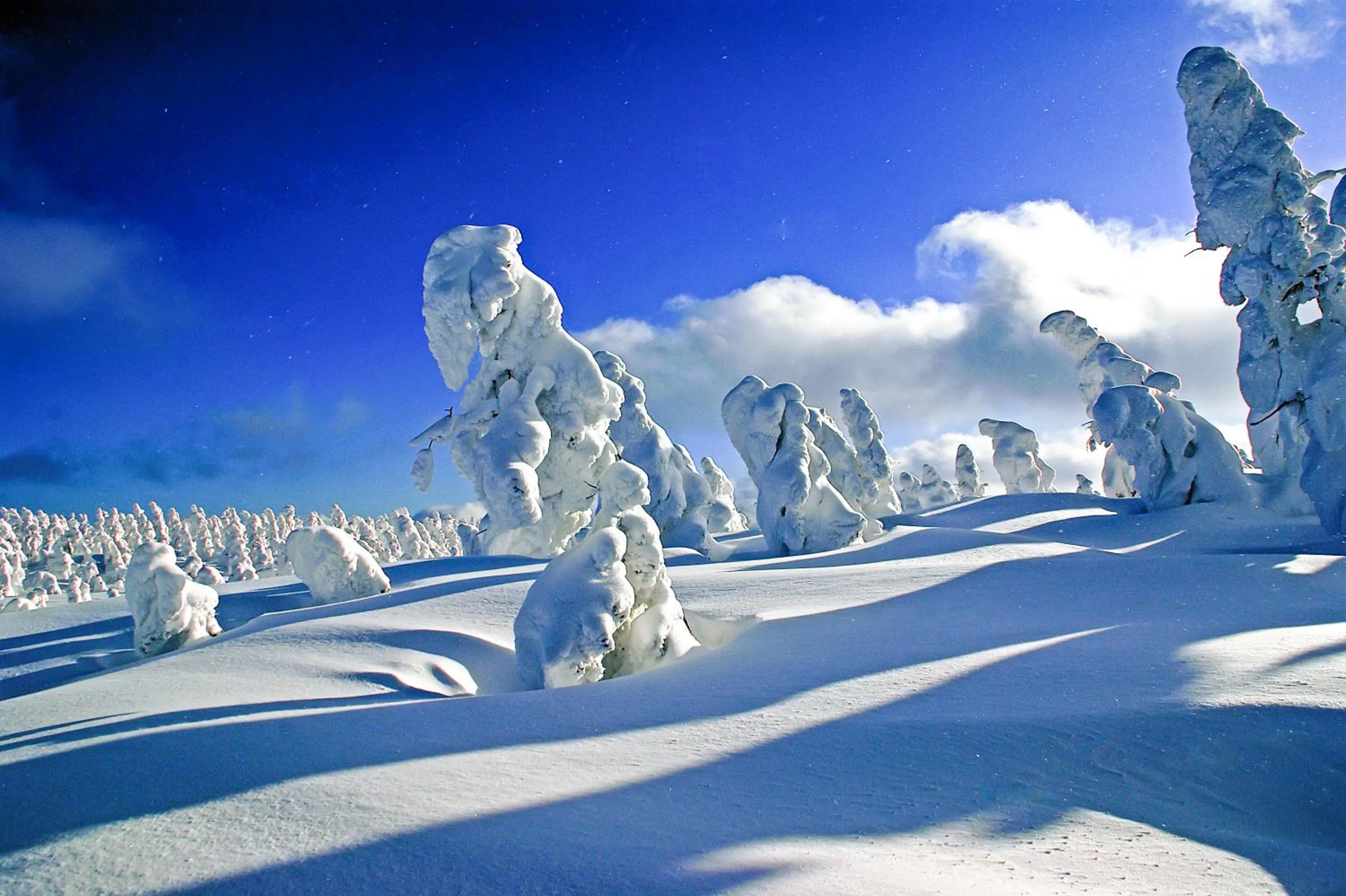 Off site in Pension Entre - deux - Mers