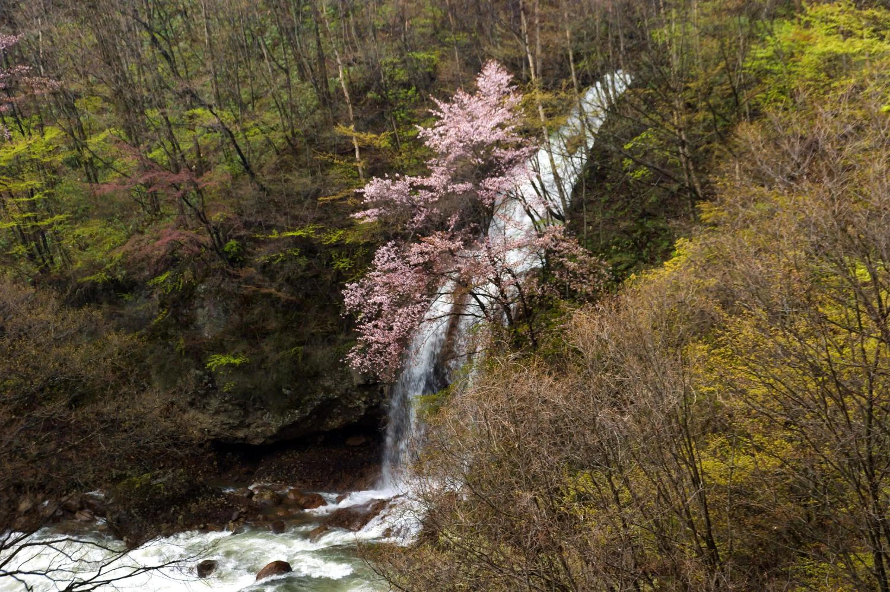 Spring in Pension Entre - deux - Mers