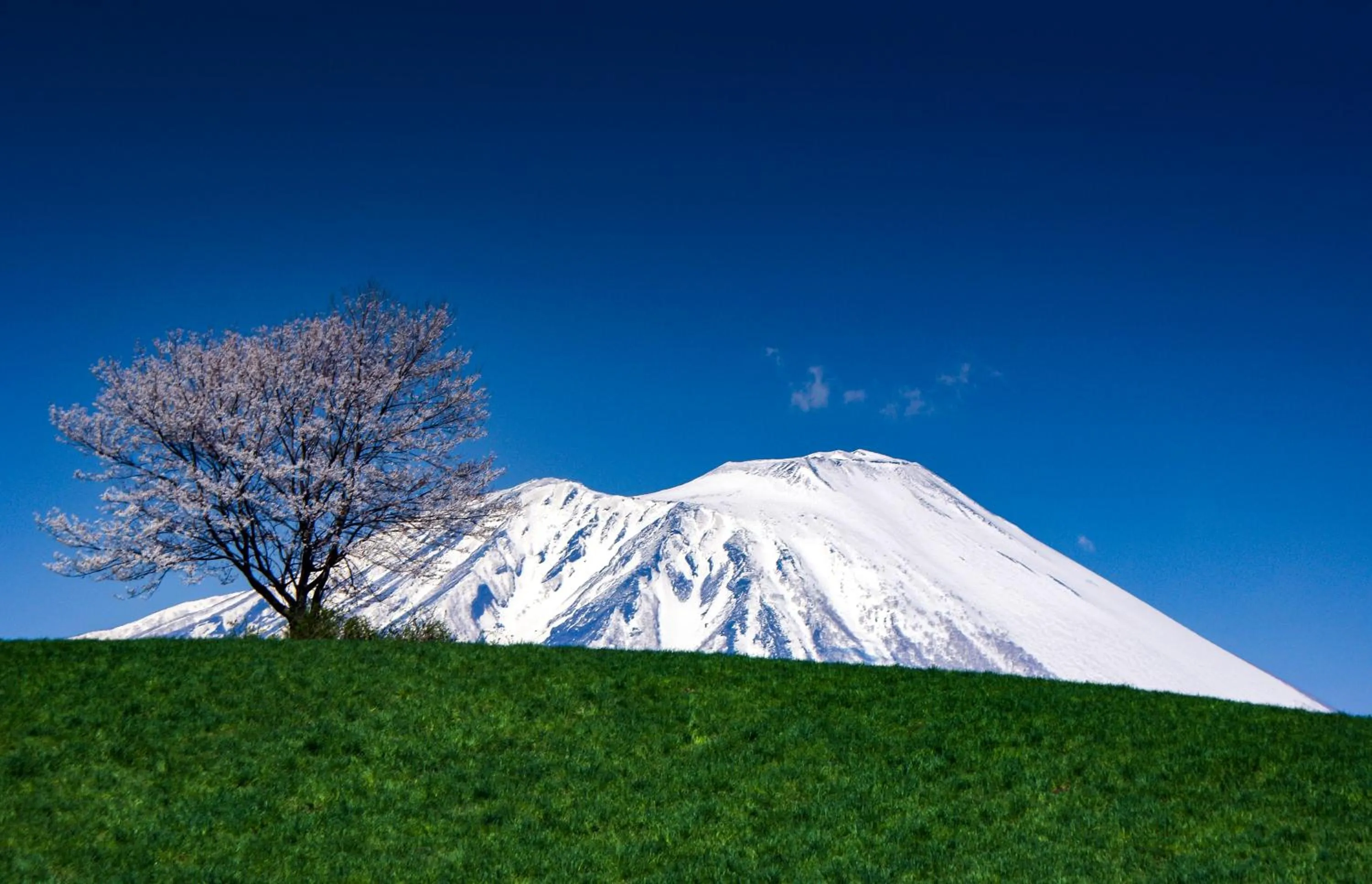 Spring in Pension Entre - deux - Mers