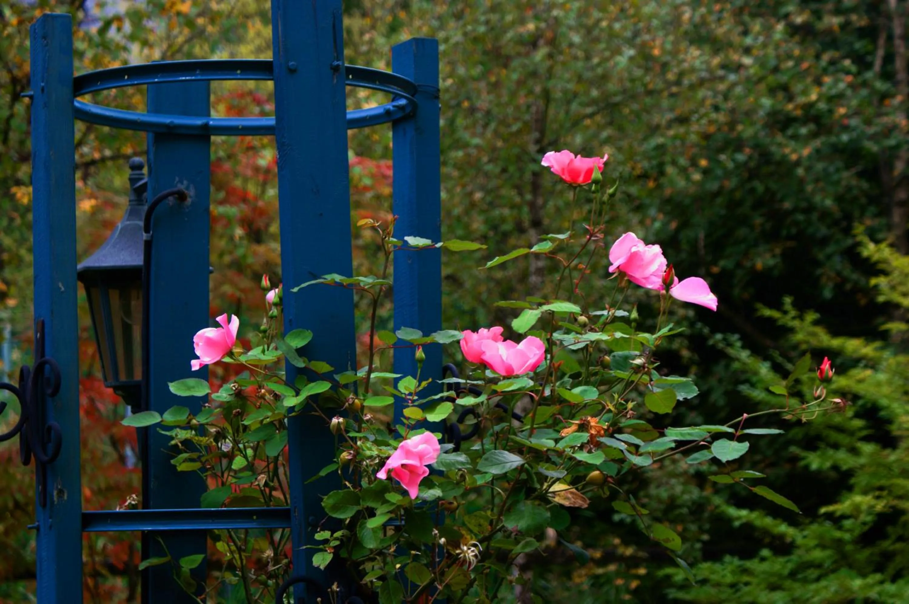 Spring in Pension Entre - deux - Mers