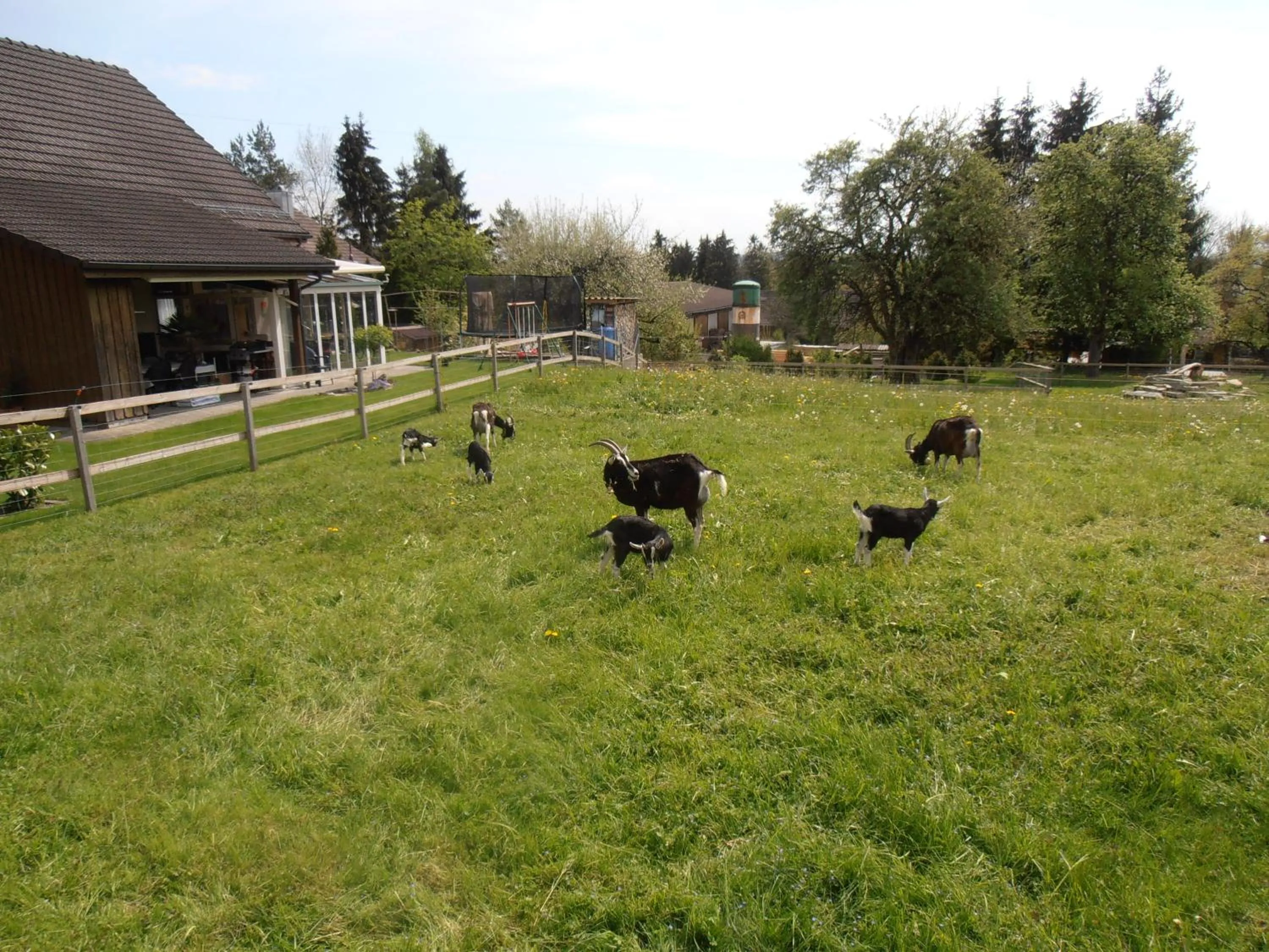 Day in Don Camillo Gästehaus