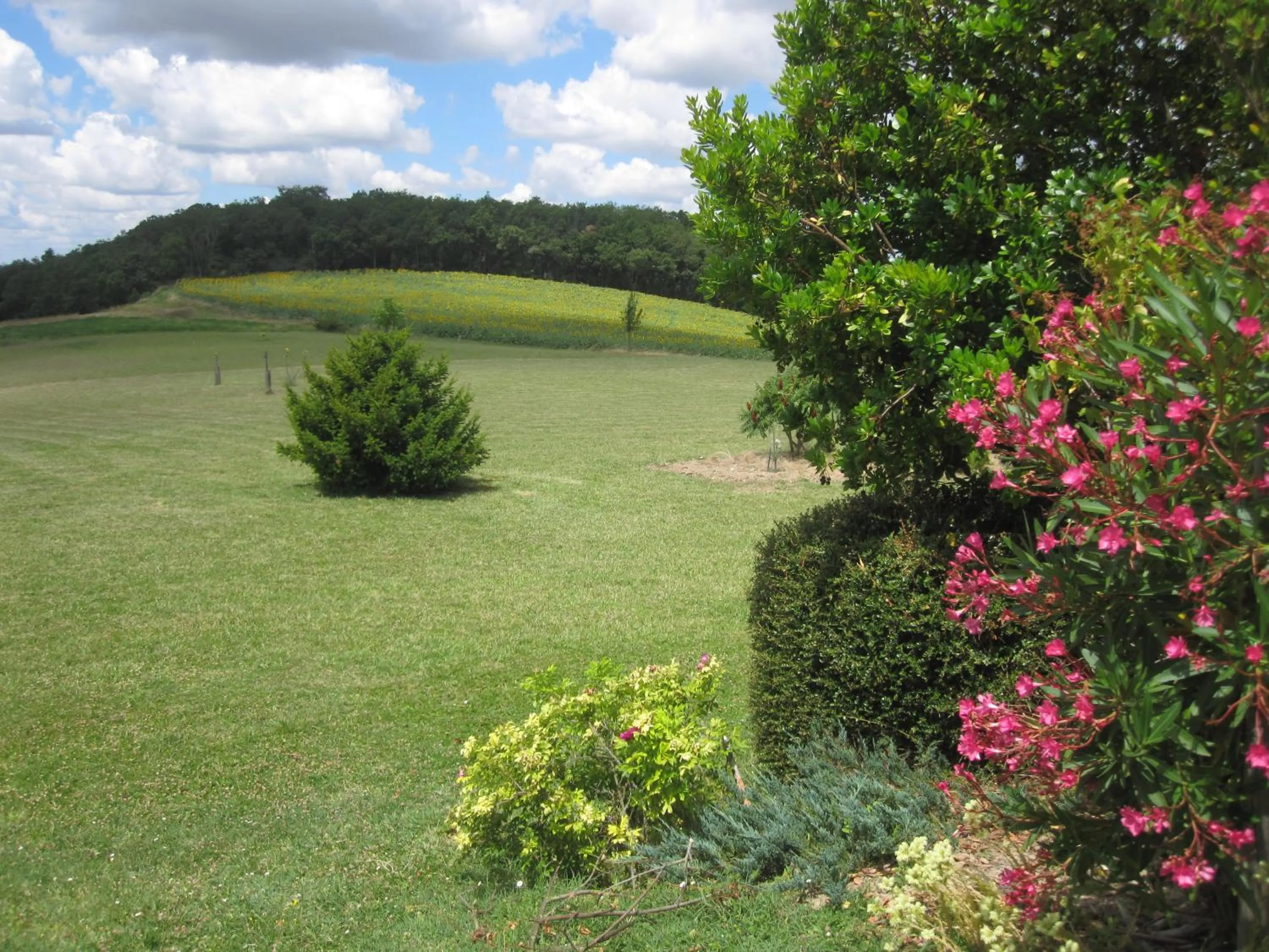 Garden in Bellegarde