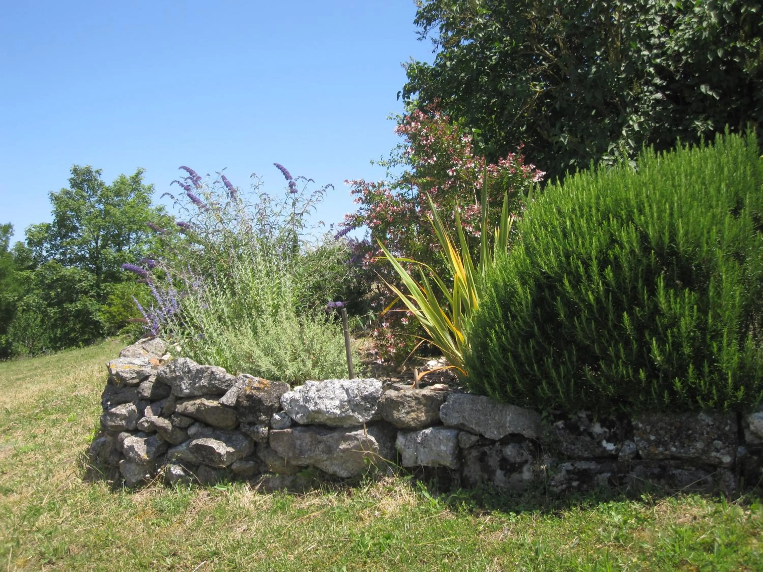 Garden in Bellegarde