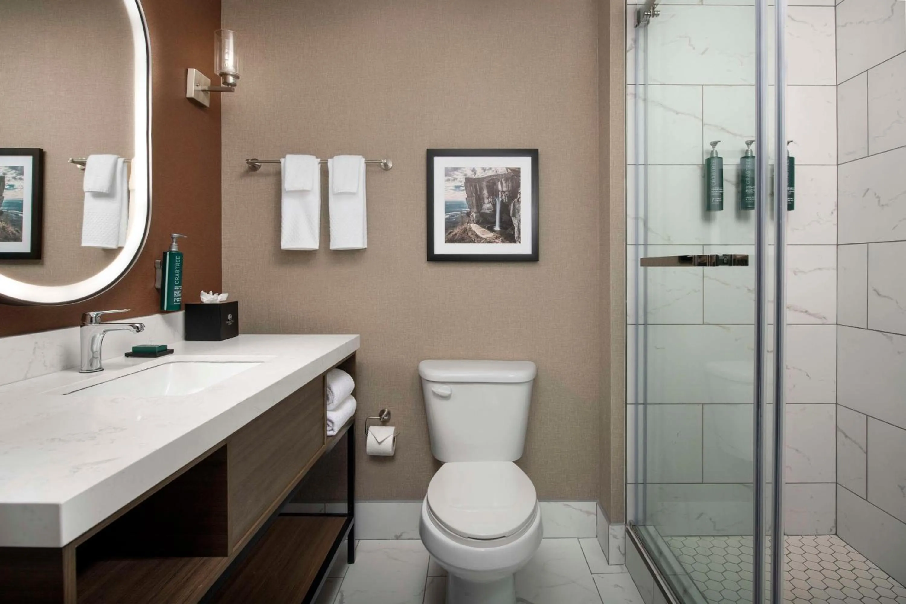 Bathroom in Doubletree by Hilton Chattanooga Hamilton Place