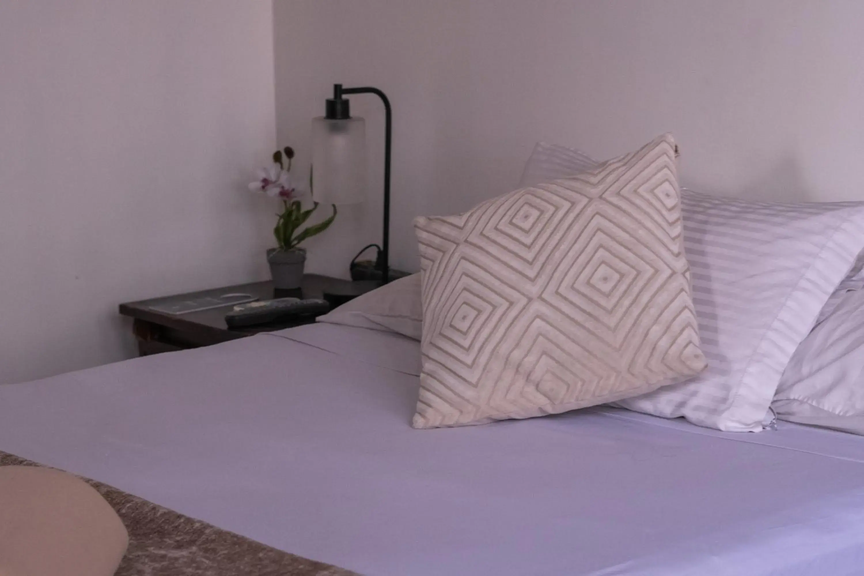Standard Double Room with Shared Bathroom - single occupancy in Hotel Casa Colon Standard Double Room with Shared Bathroom - single occupancy in Hotel Casa Colon
