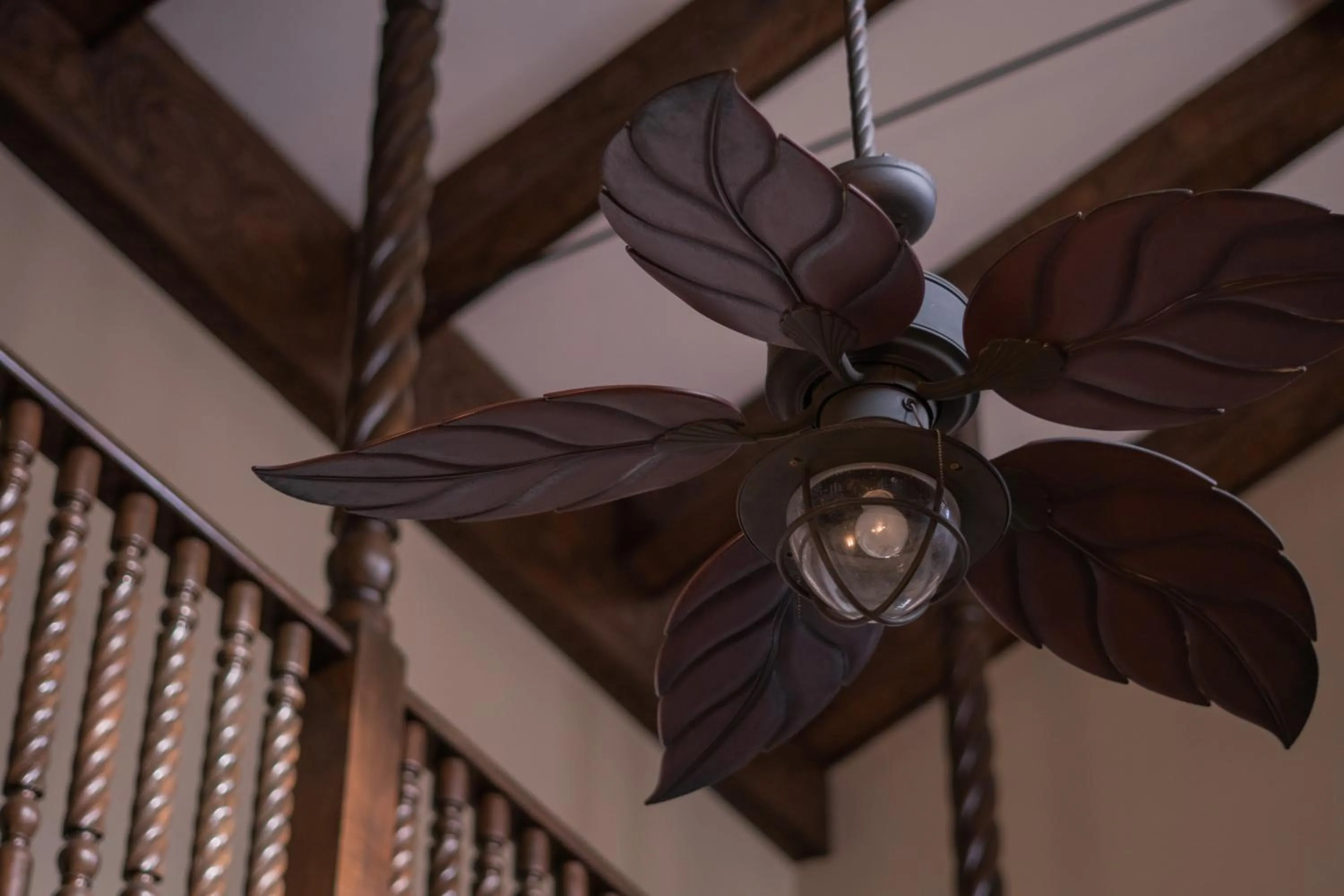 Decorative detail in Hotel Casa Colon