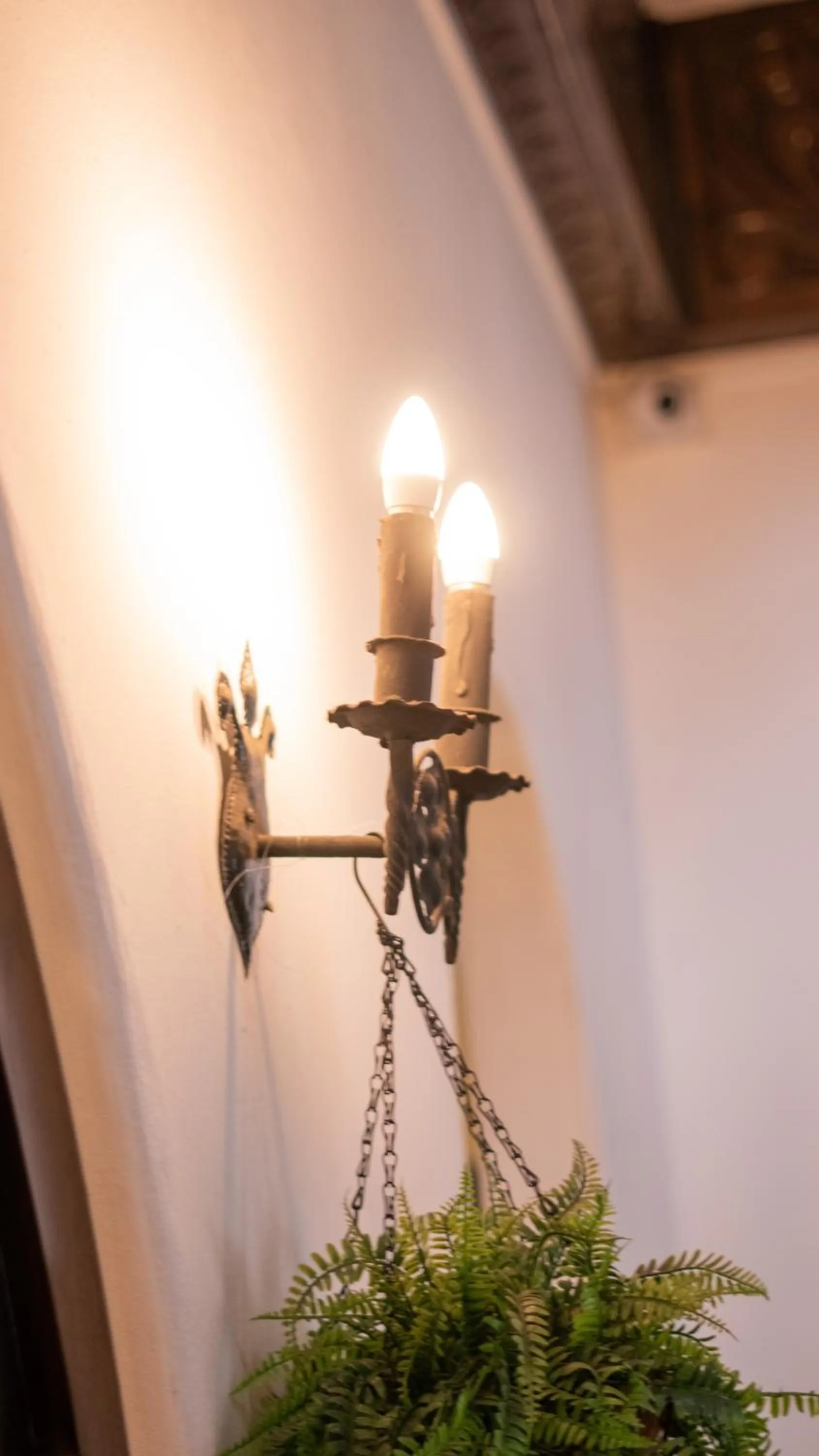 Decorative detail in Hotel Casa Colon