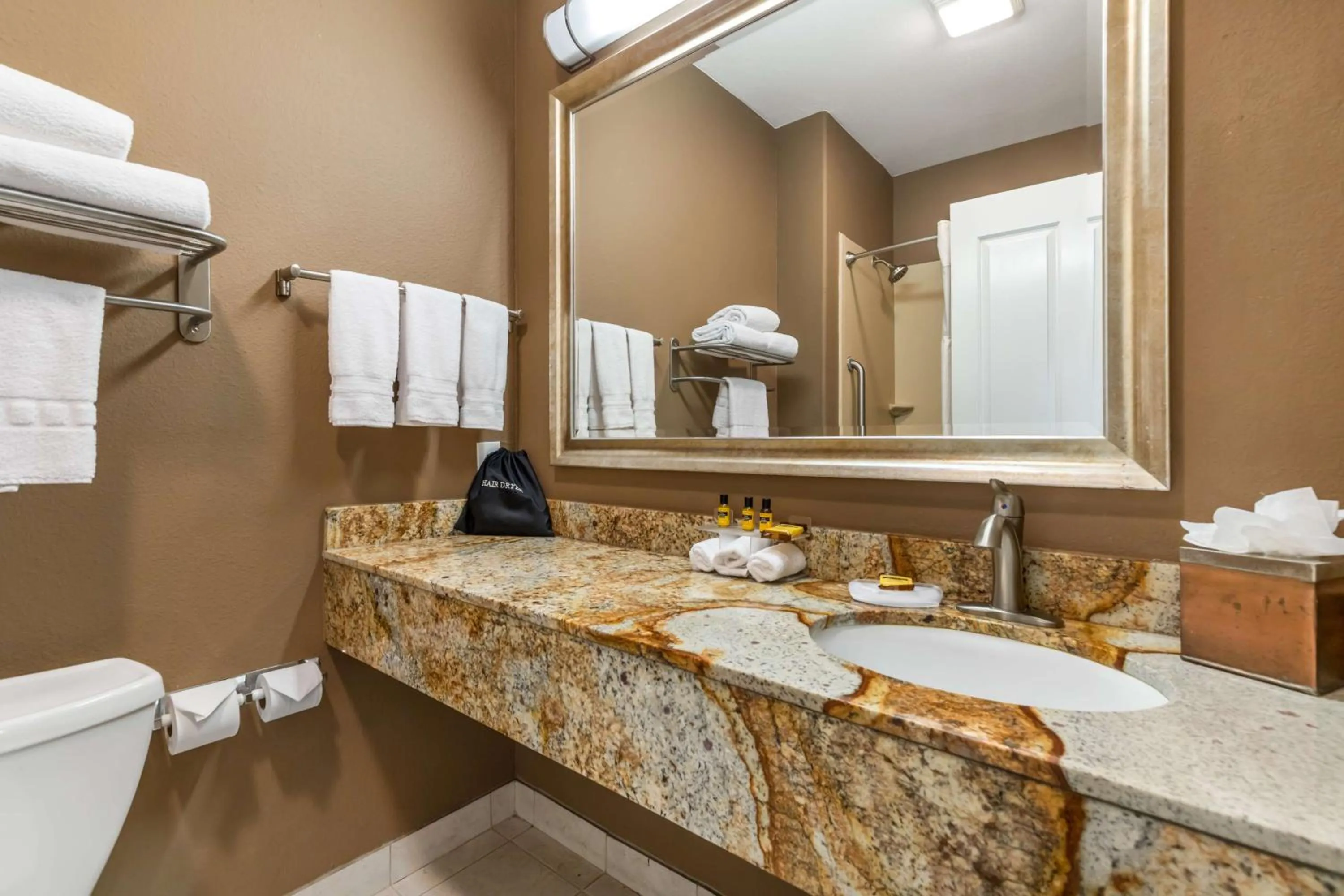 Bathroom in Best Western Plus Lytle Inn and Suites
