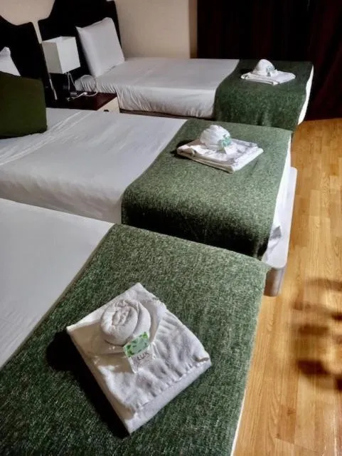 Bed in Hotel Excelsior