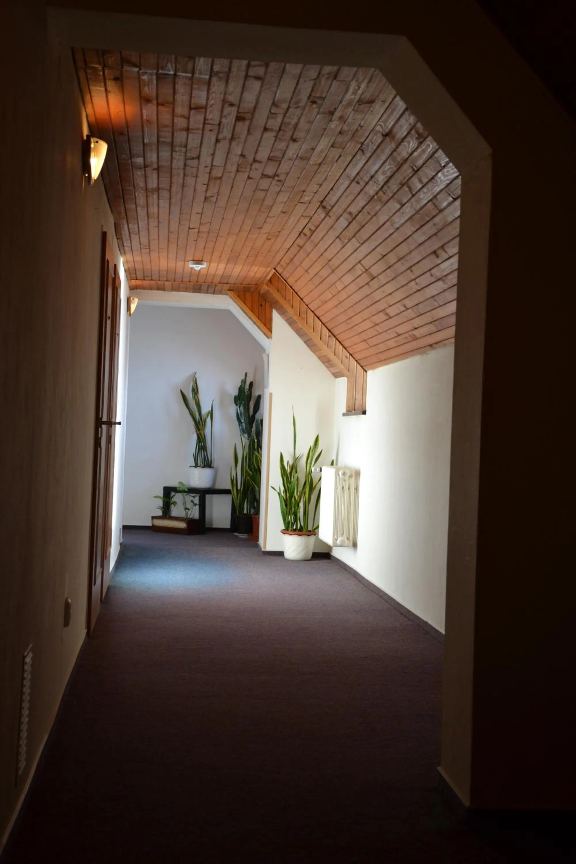 Other in Motorest a Motel Rohlenka Austerlitz