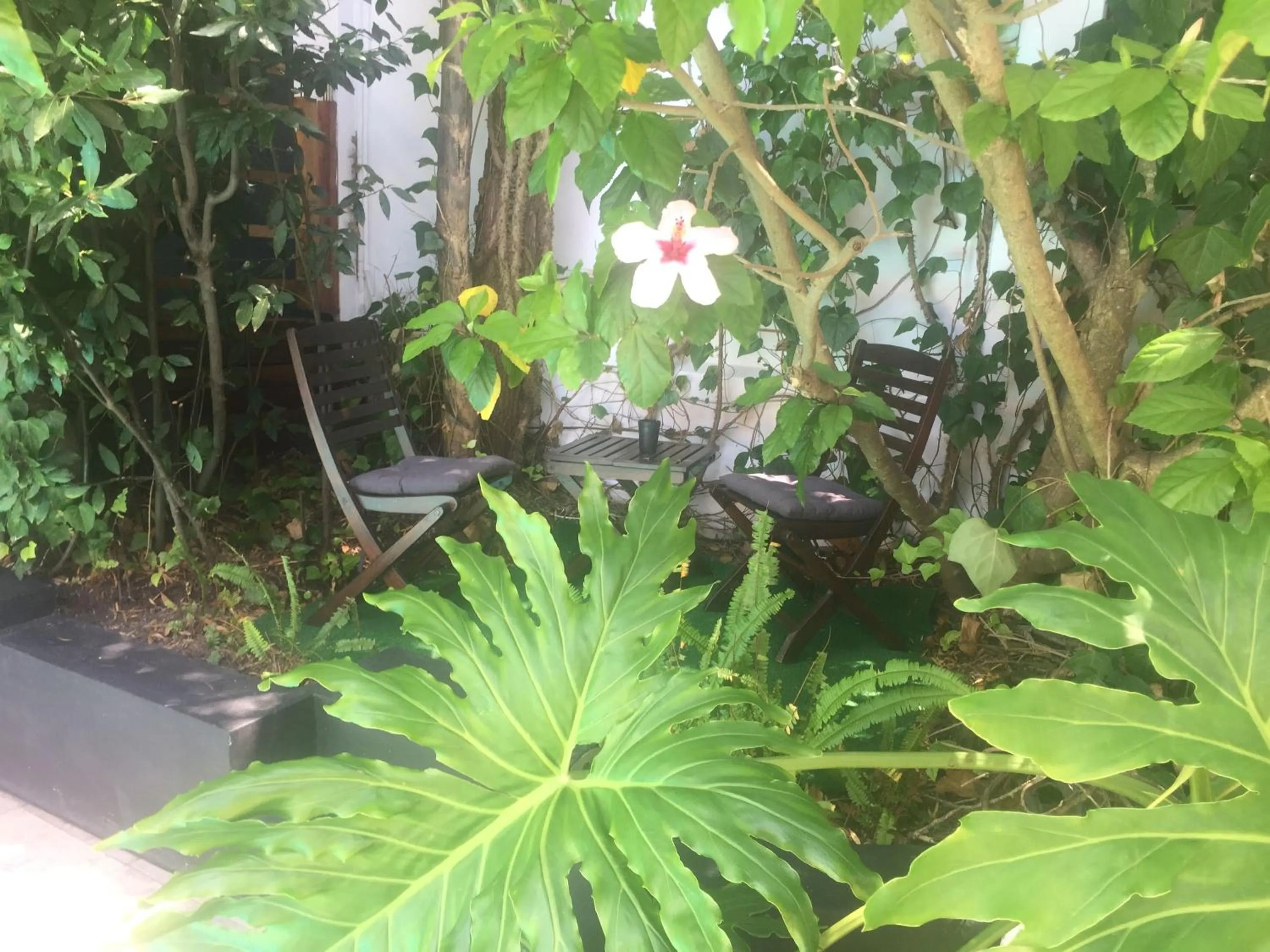 Garden in Little Scotia