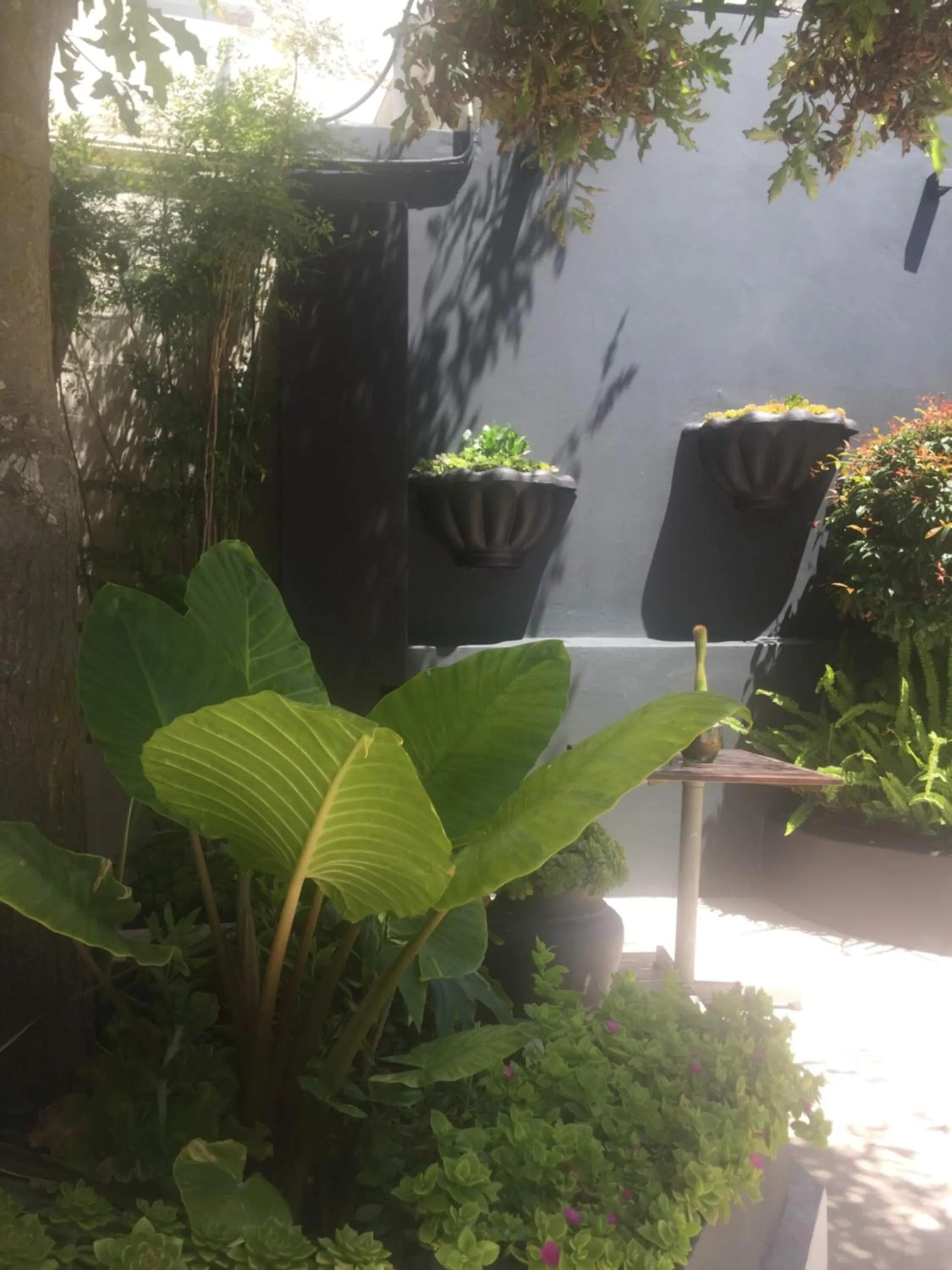 Garden in Little Scotia