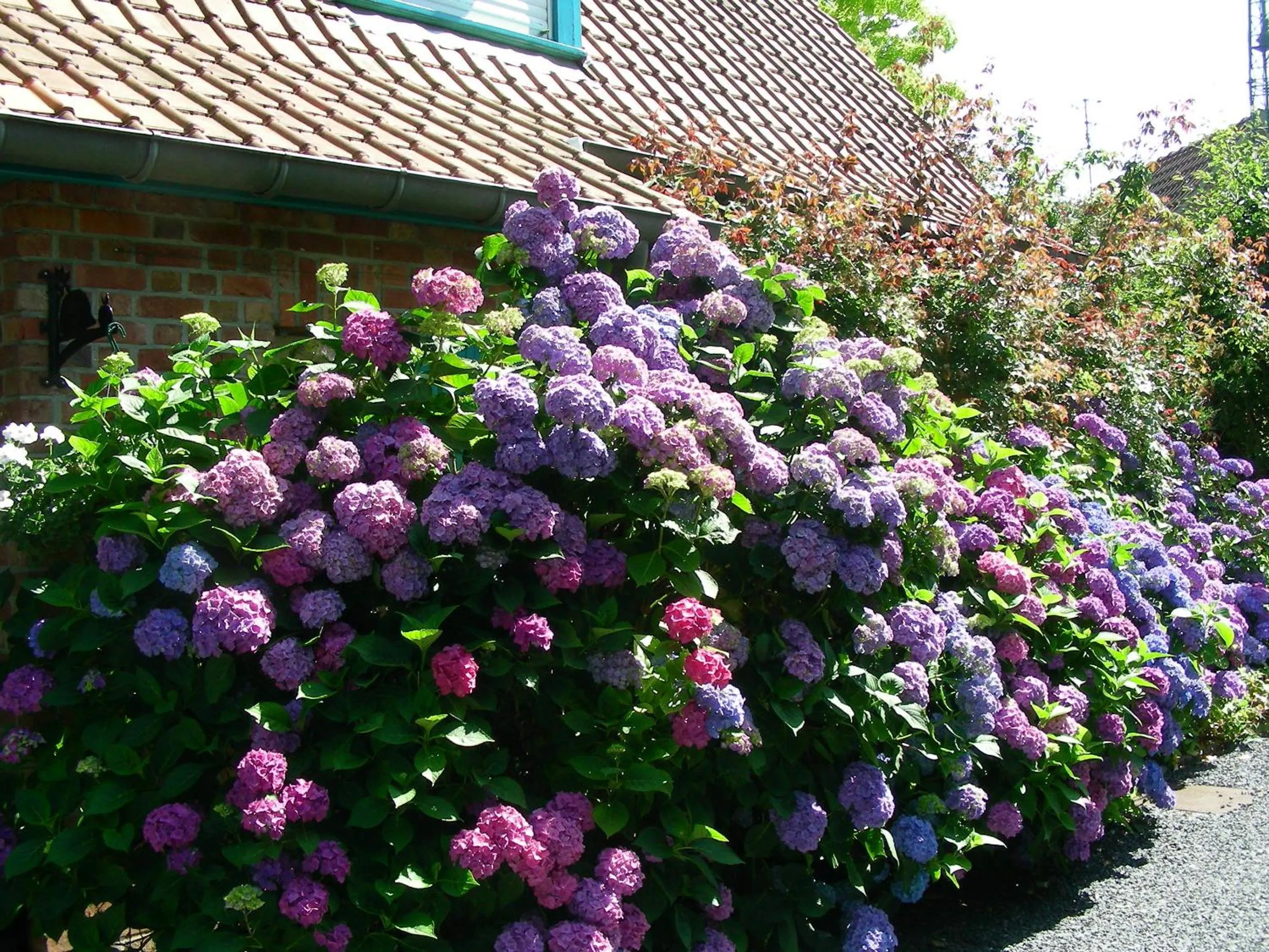 Facade/entrance in A la Maison du Héron