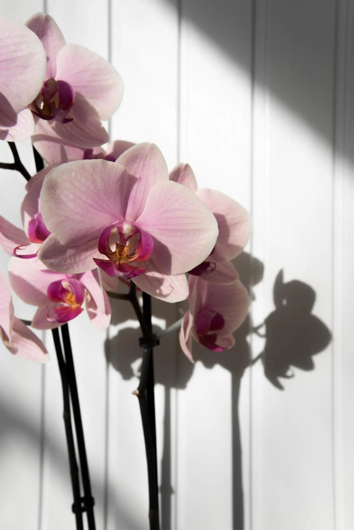 Decorative detail in Hotel Faber