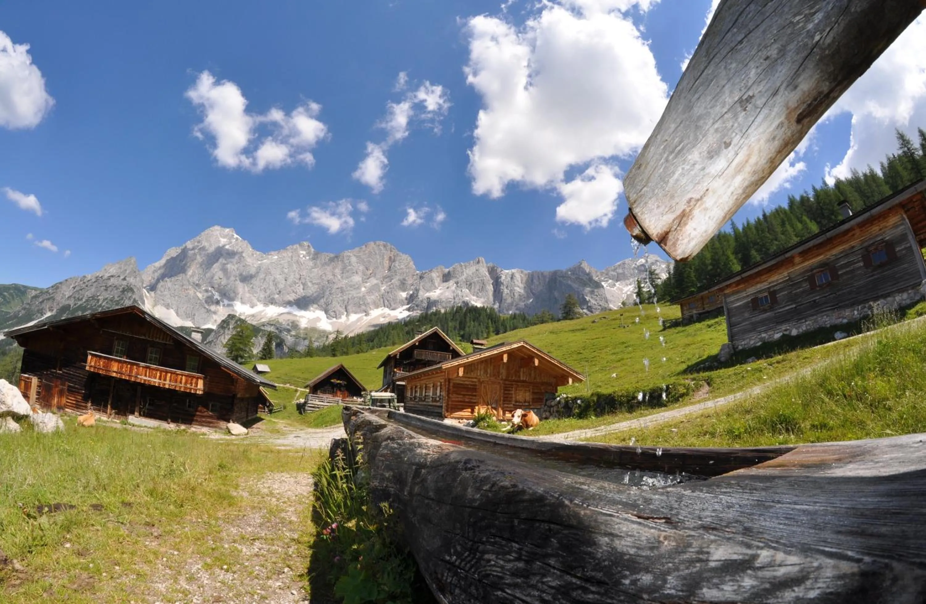 Hiking in Apparthotel Bliem