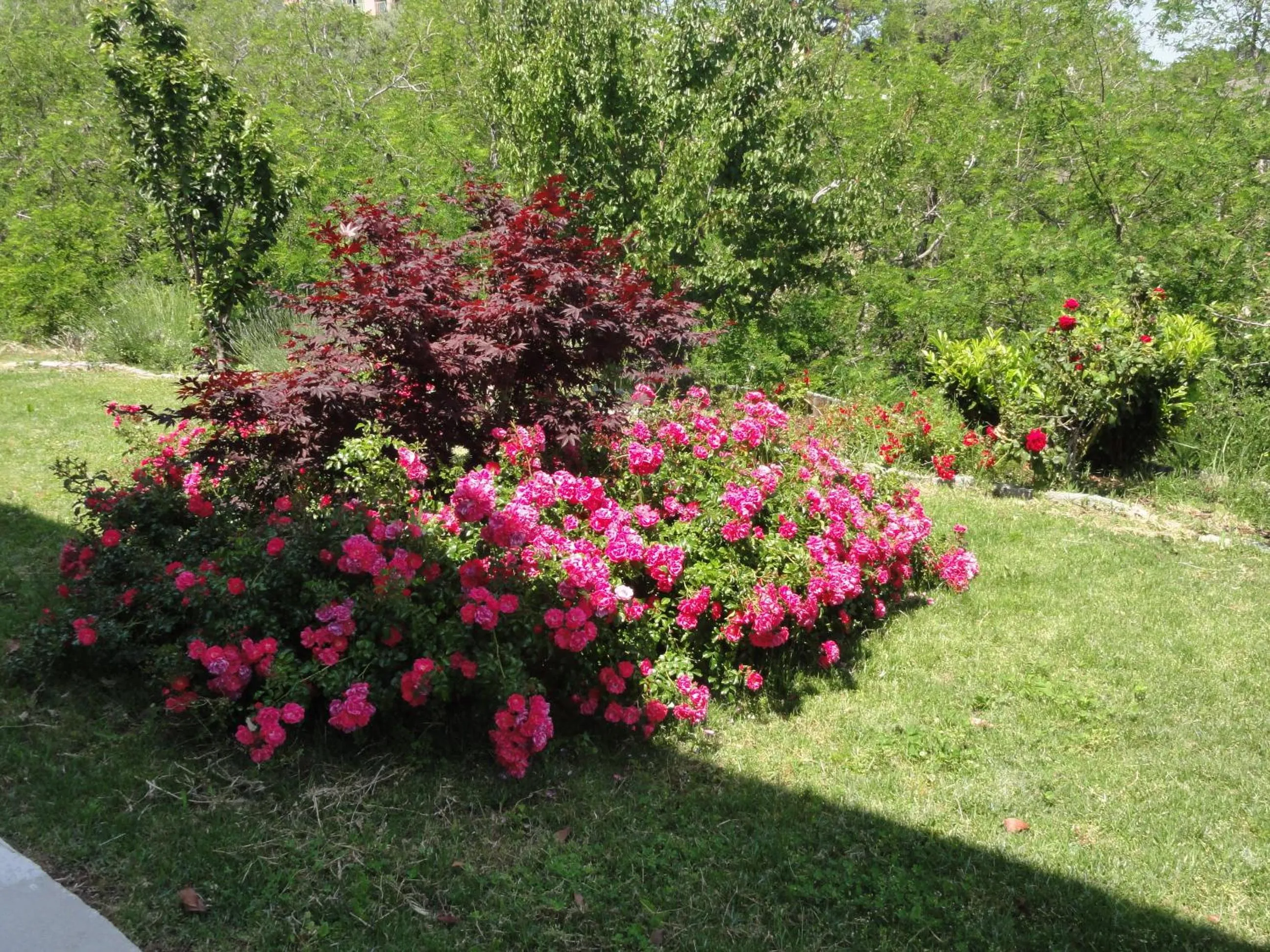 Chambre Élégante Lisa