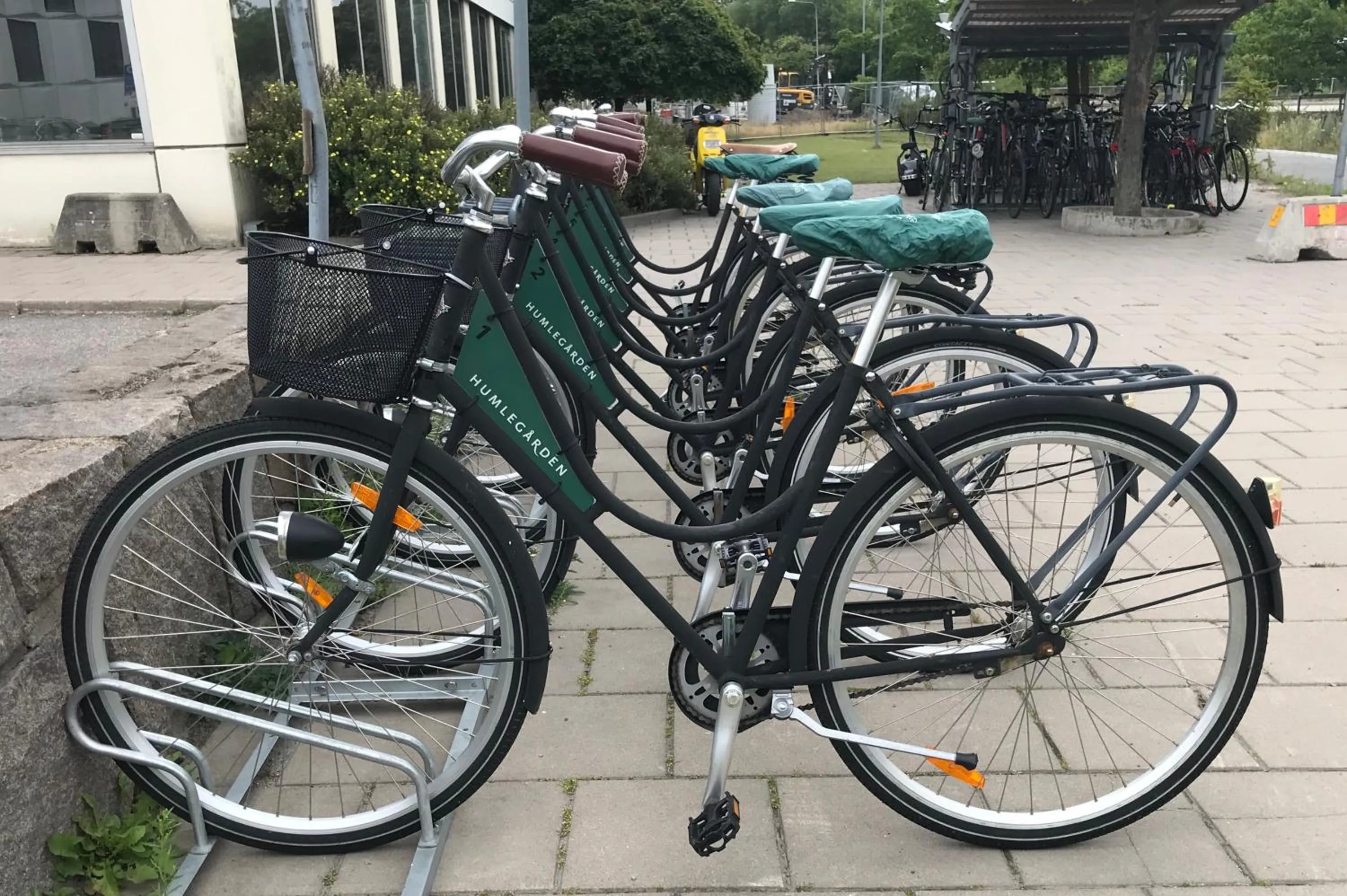 Best Western Plus Grow Hotel