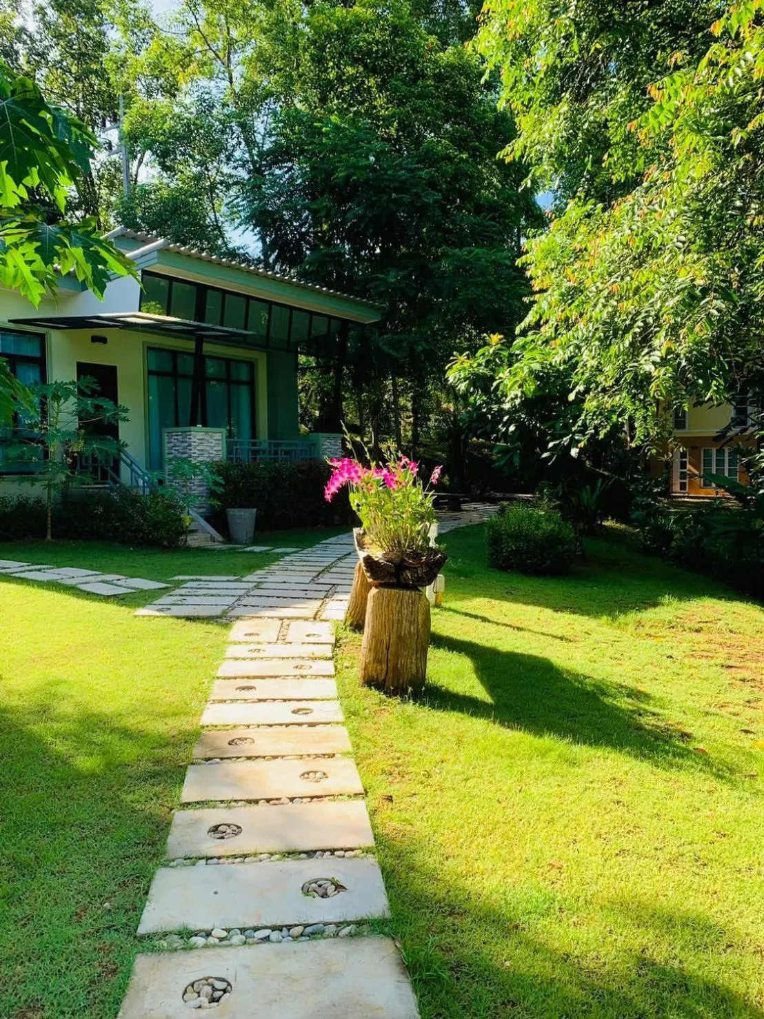 Day in Snapper House