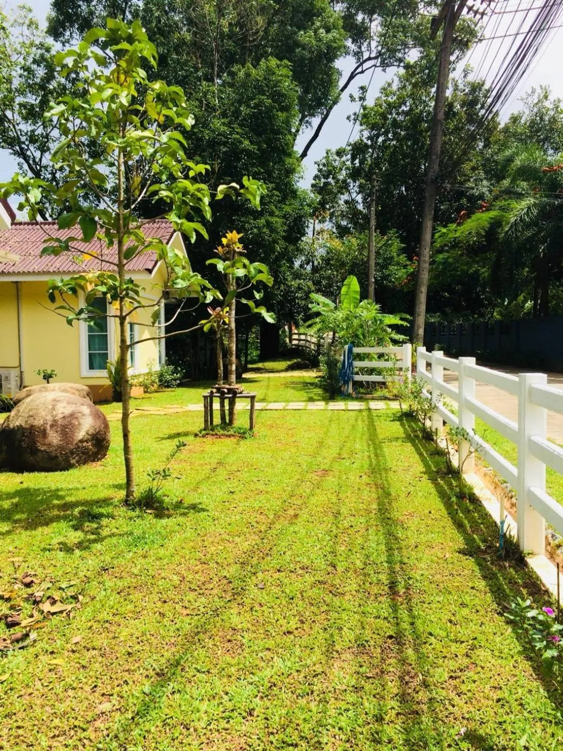 Day in Snapper House