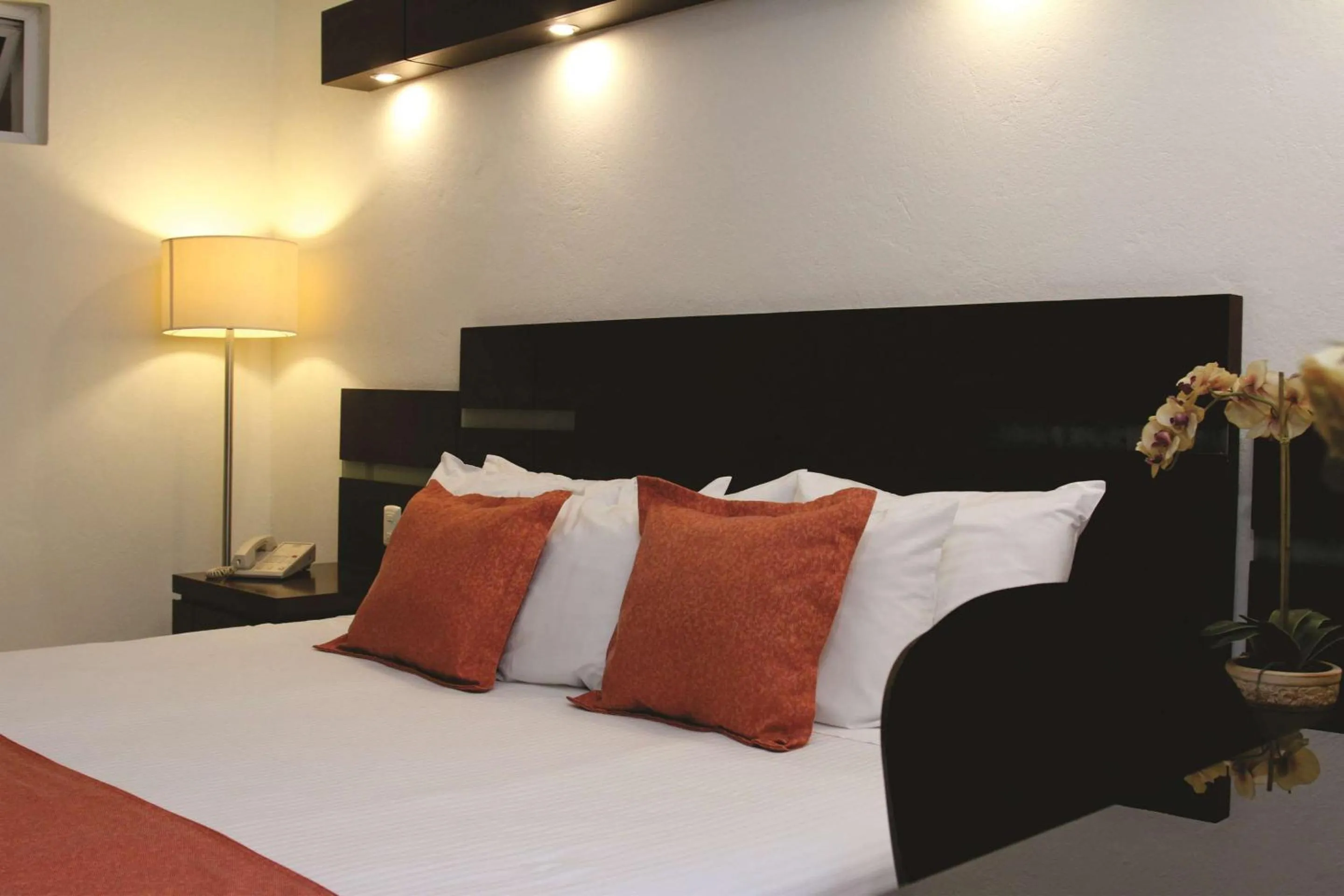 Bed in Hotel Poza Rica Centro