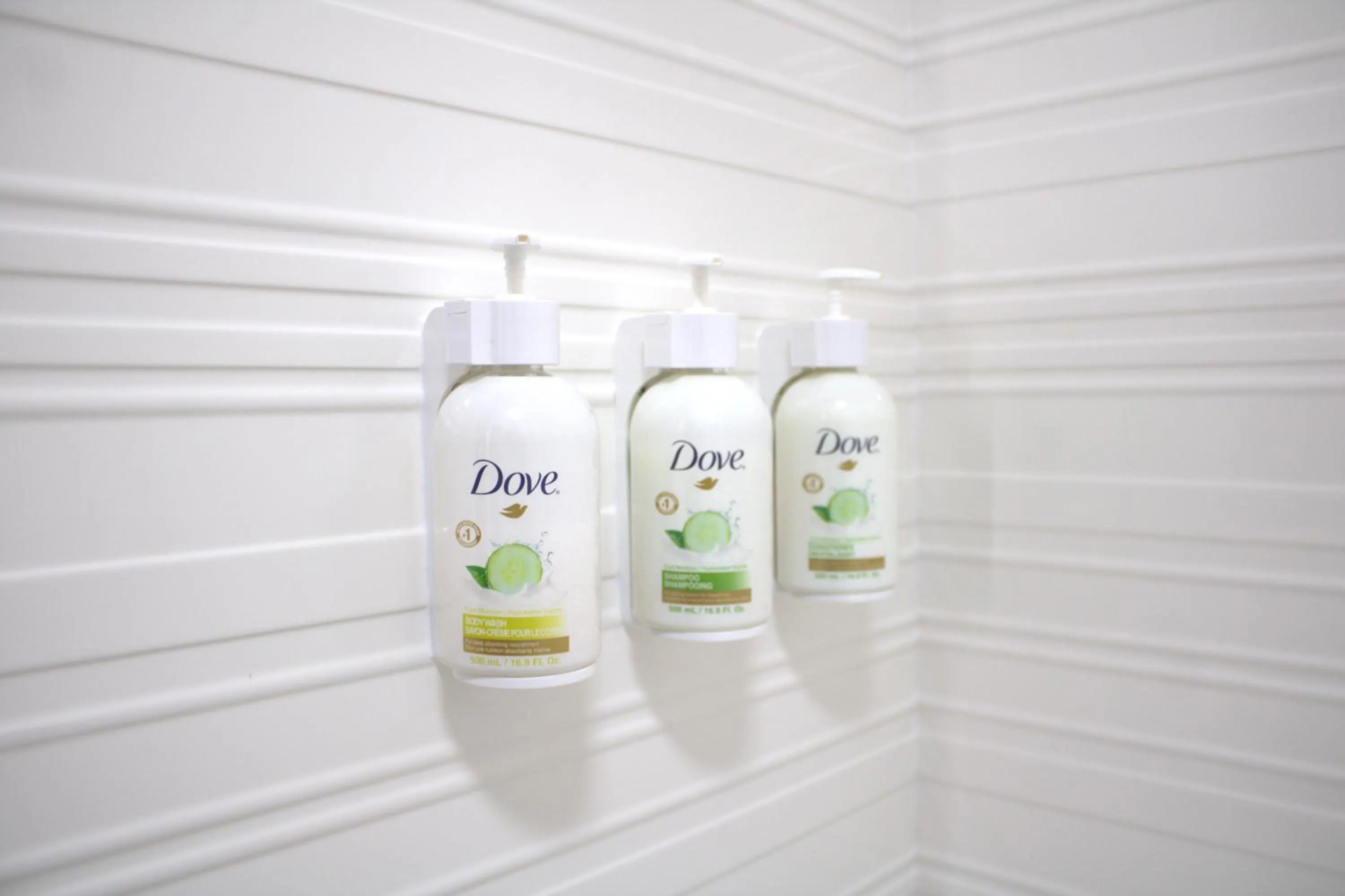 Baymont Inn & Suites San Marcos