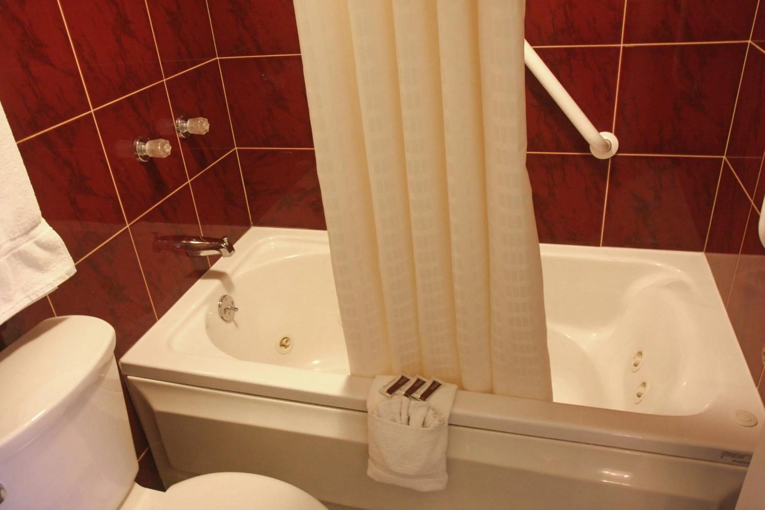 Bathroom in Gateway Inn and Suites