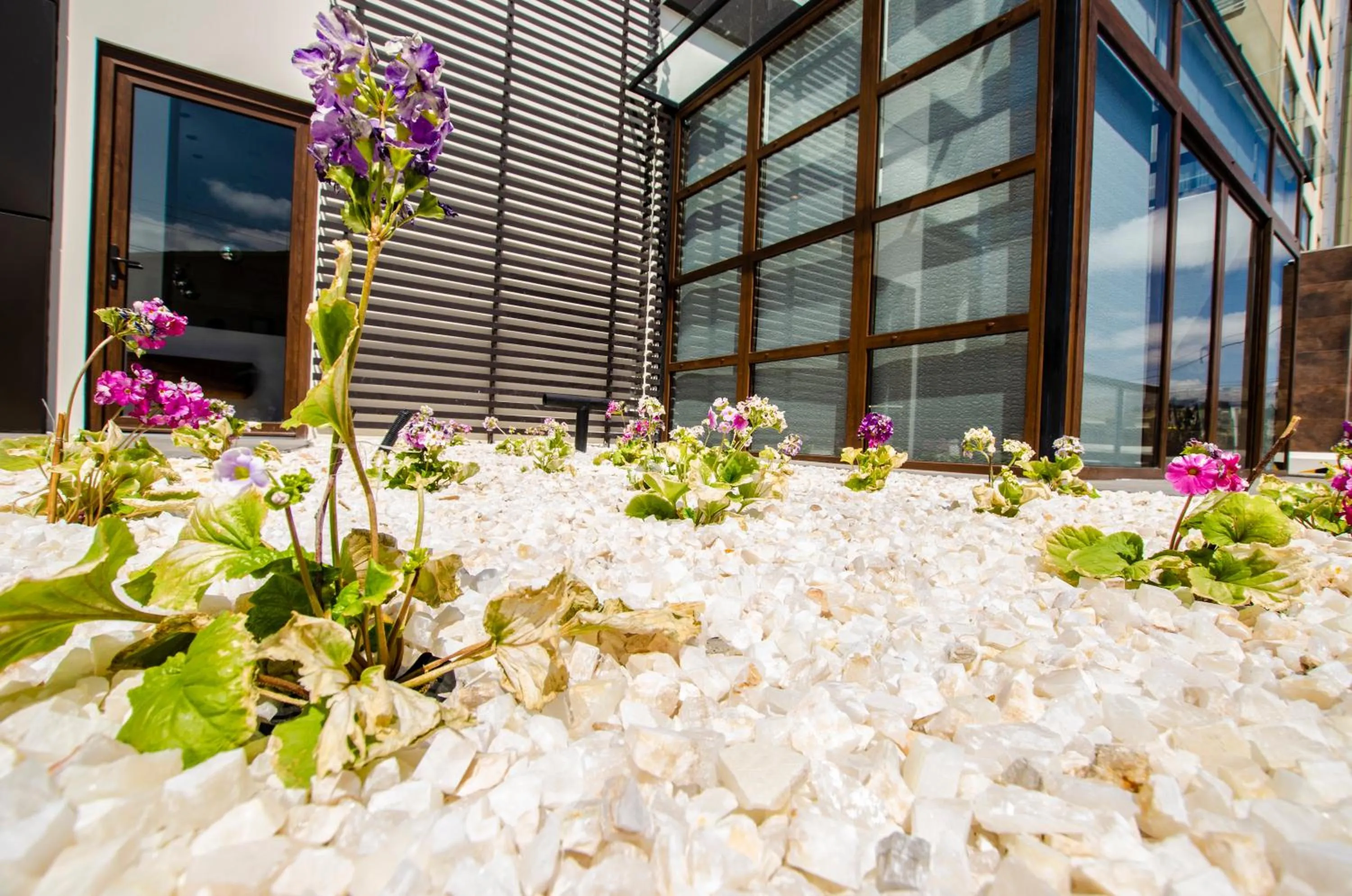 Facade/entrance in Hotel Mitru Sur