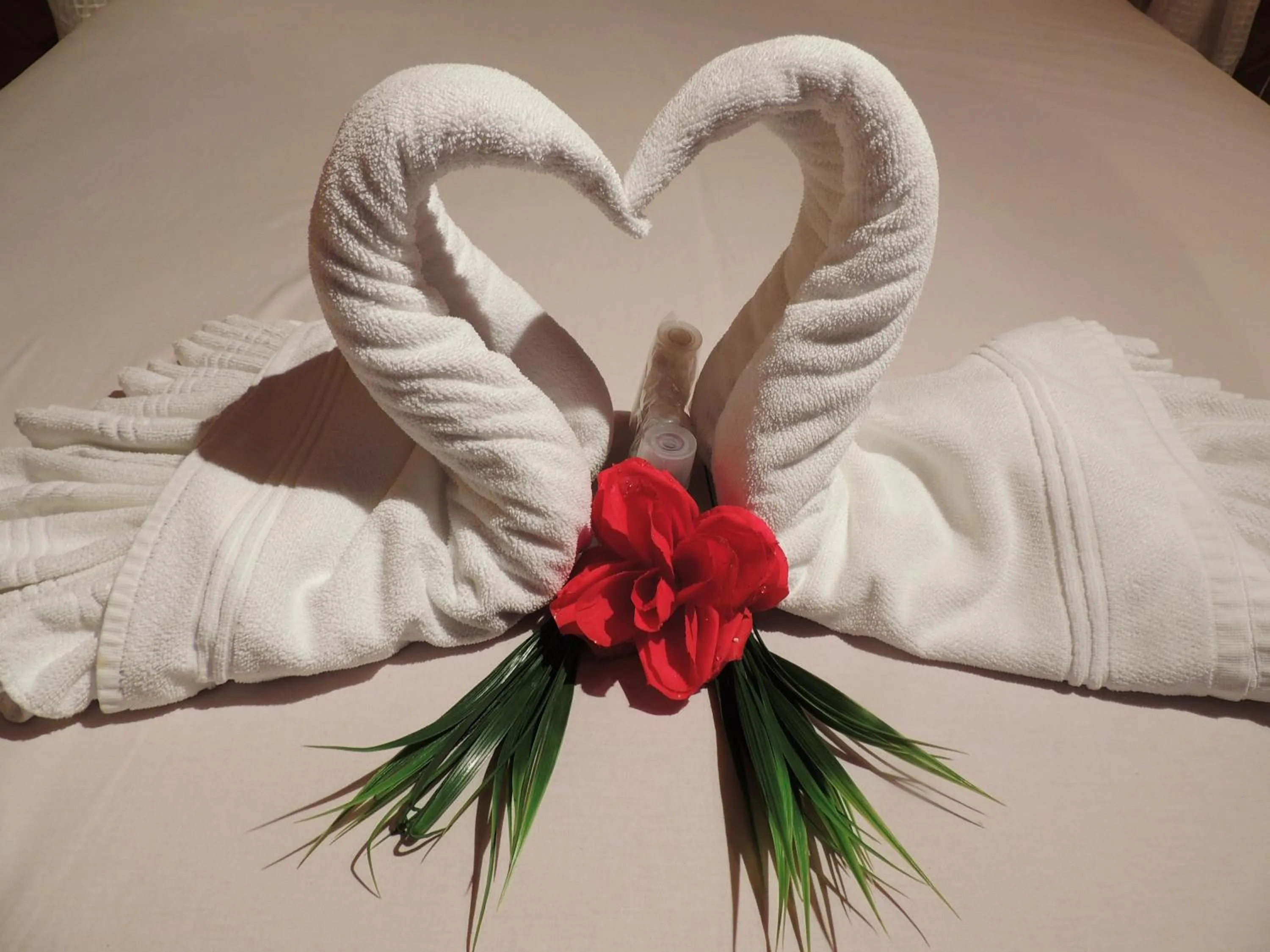 Other in Pousada Cantinho das Estrelas