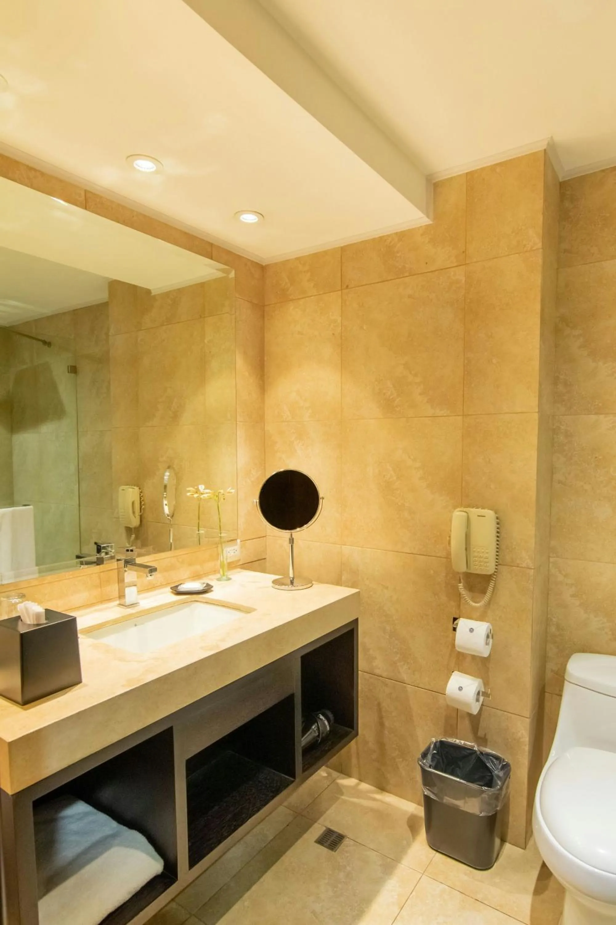 Bathroom in Sheraton Quito