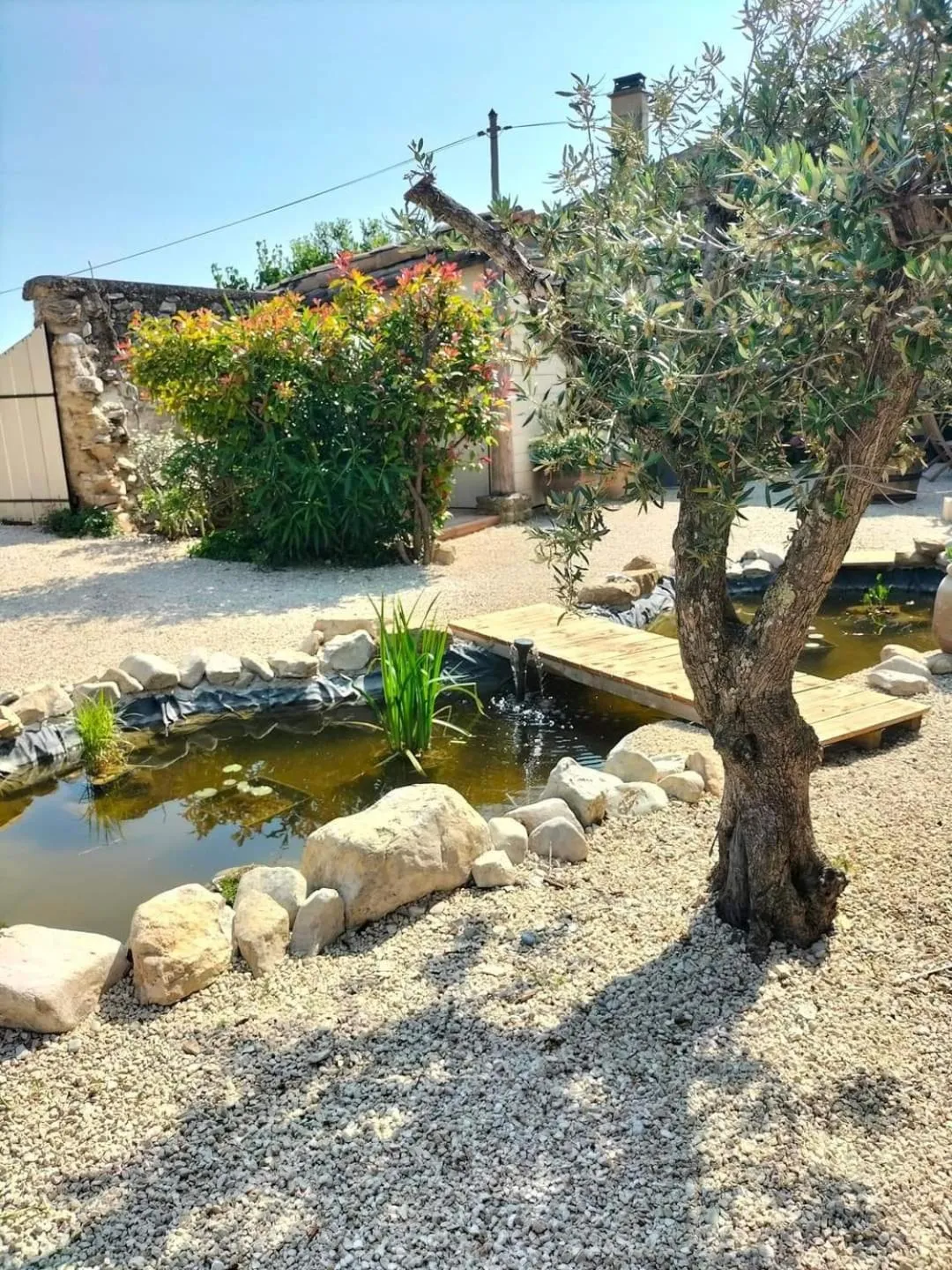 Garden view in Mas de l'Amme