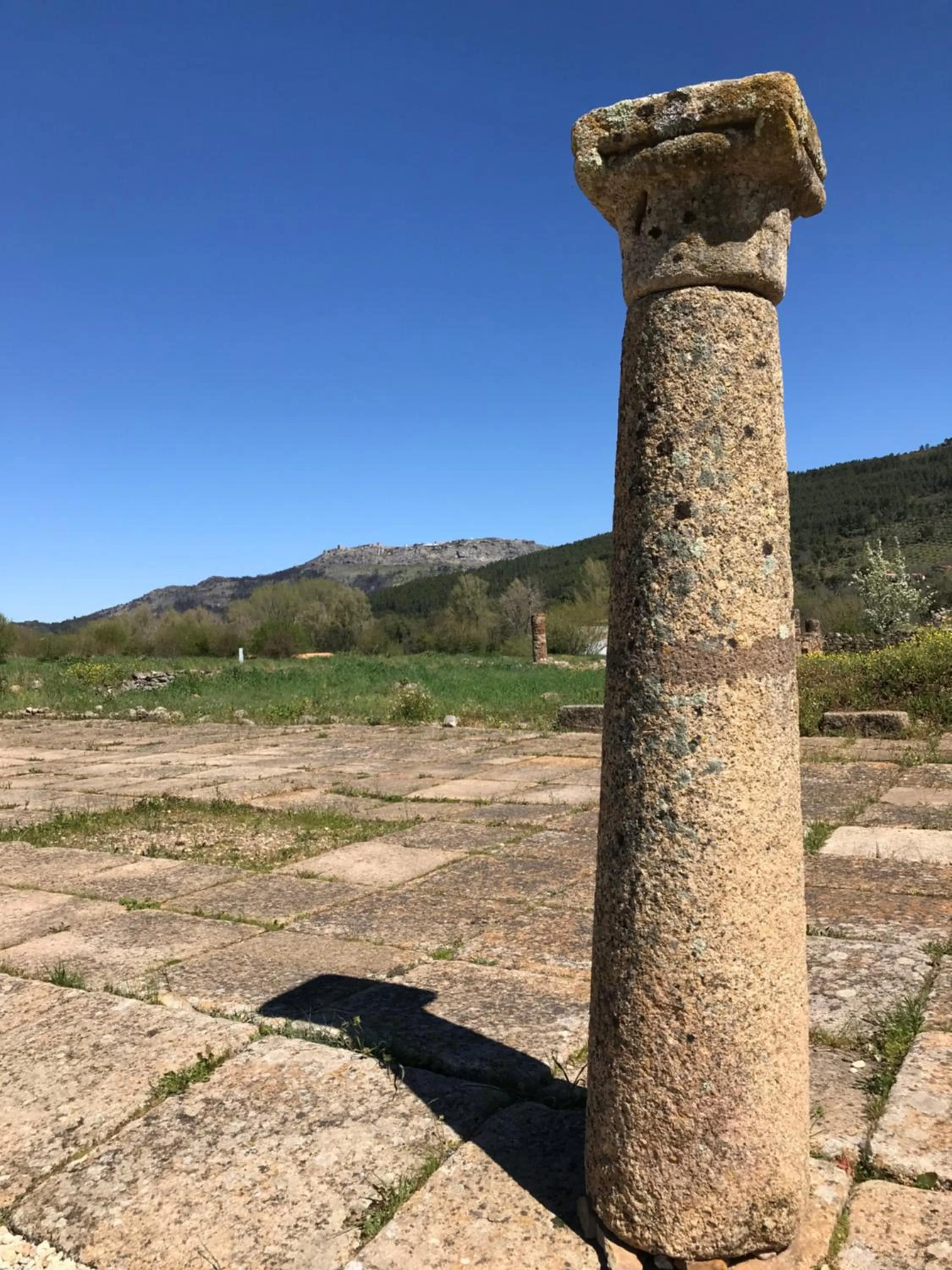 Nearby landmark in Hotel El Rei Dom Manuel