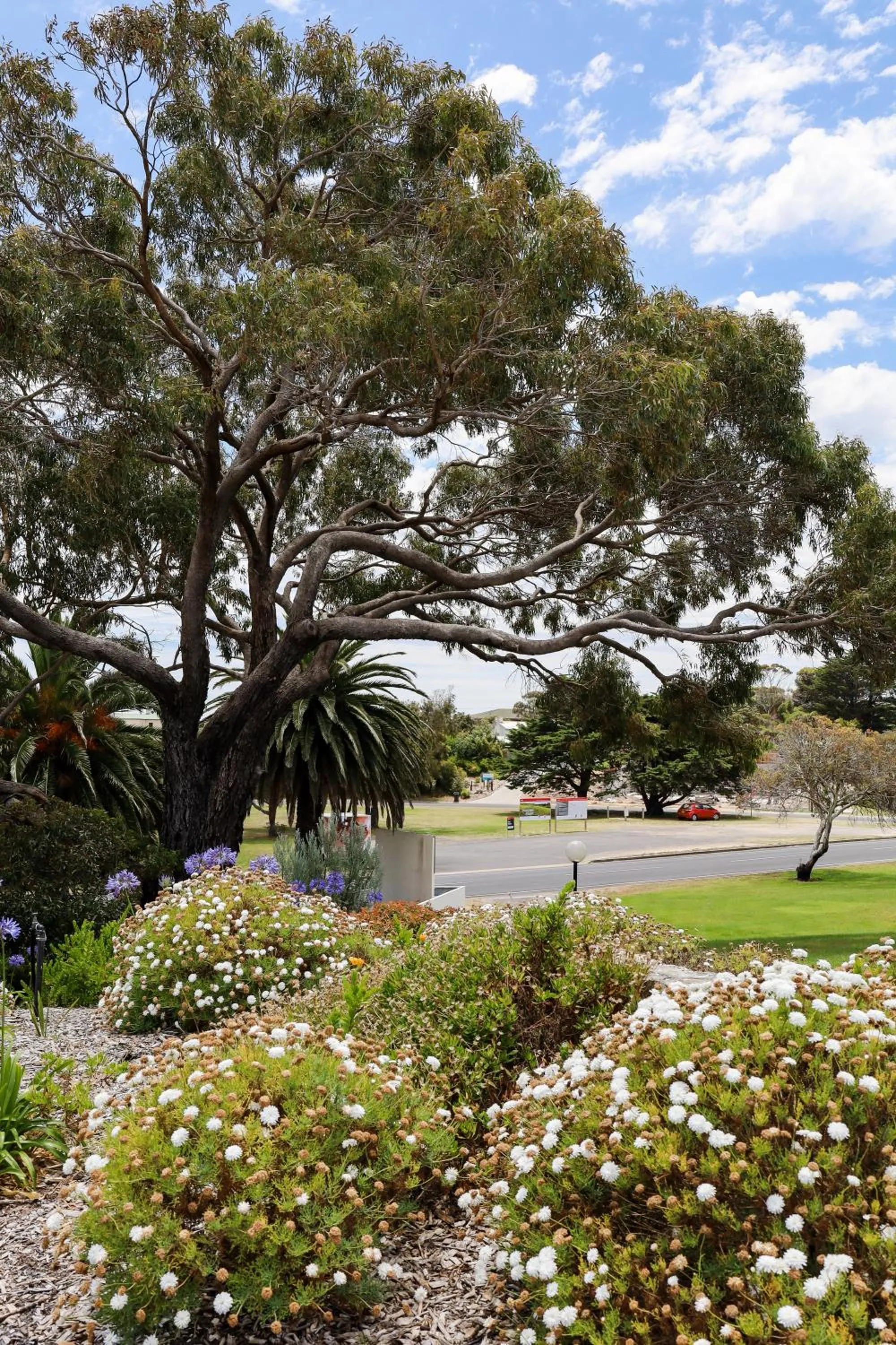 Garden in Robetown Motor Inn & Apartments