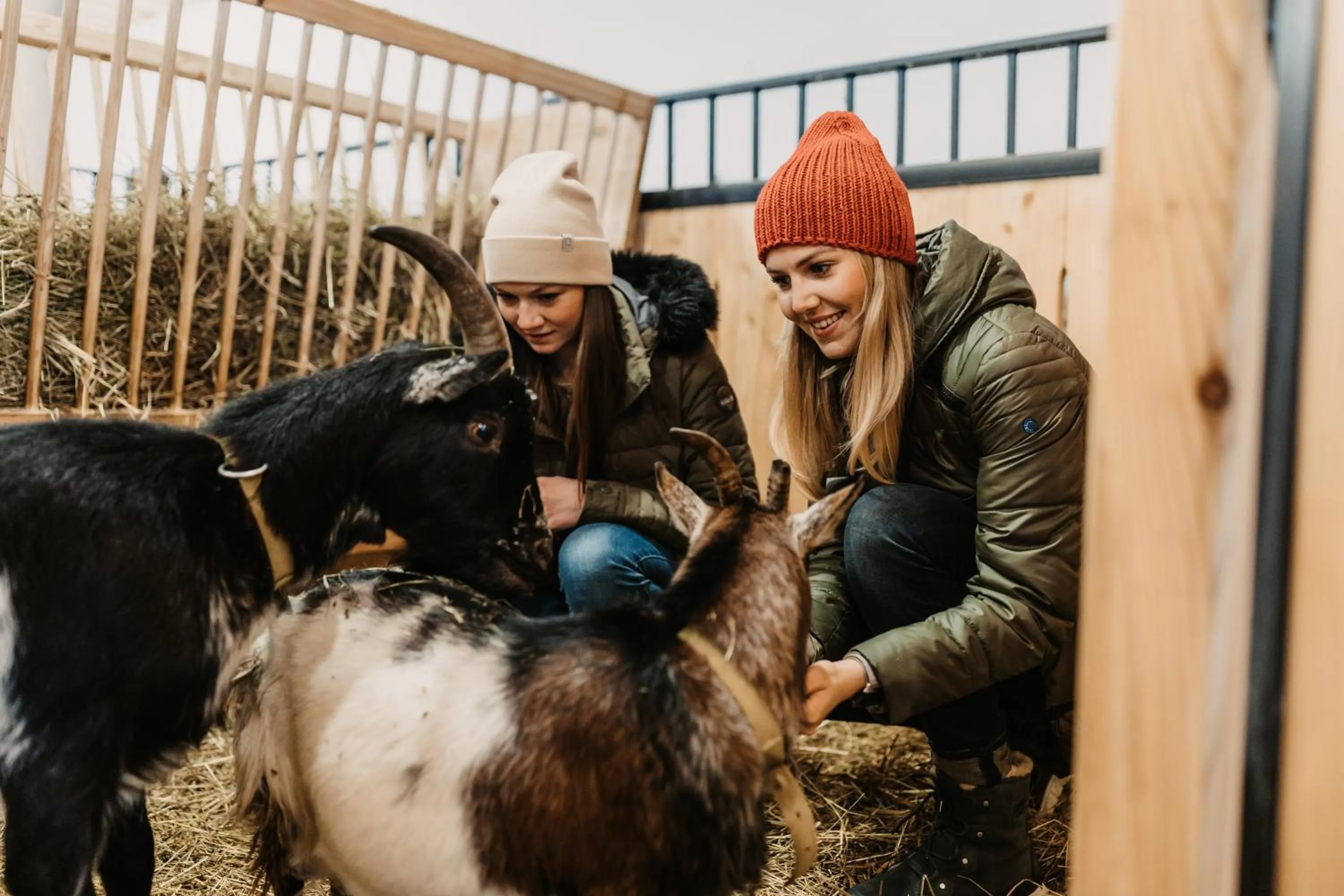 Animals in Gut Berg Naturhotel