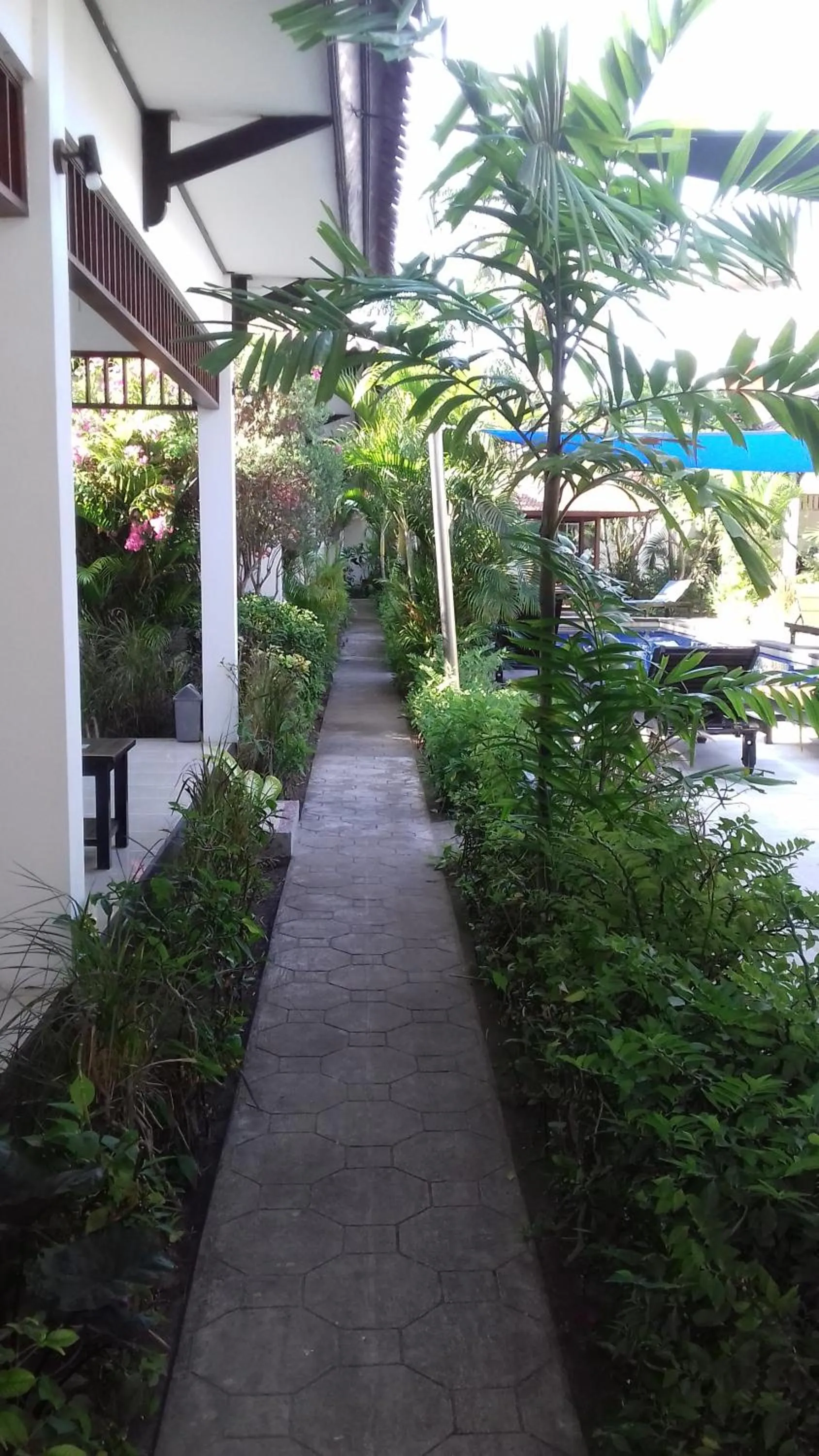 Garden in Gili Palms Resort