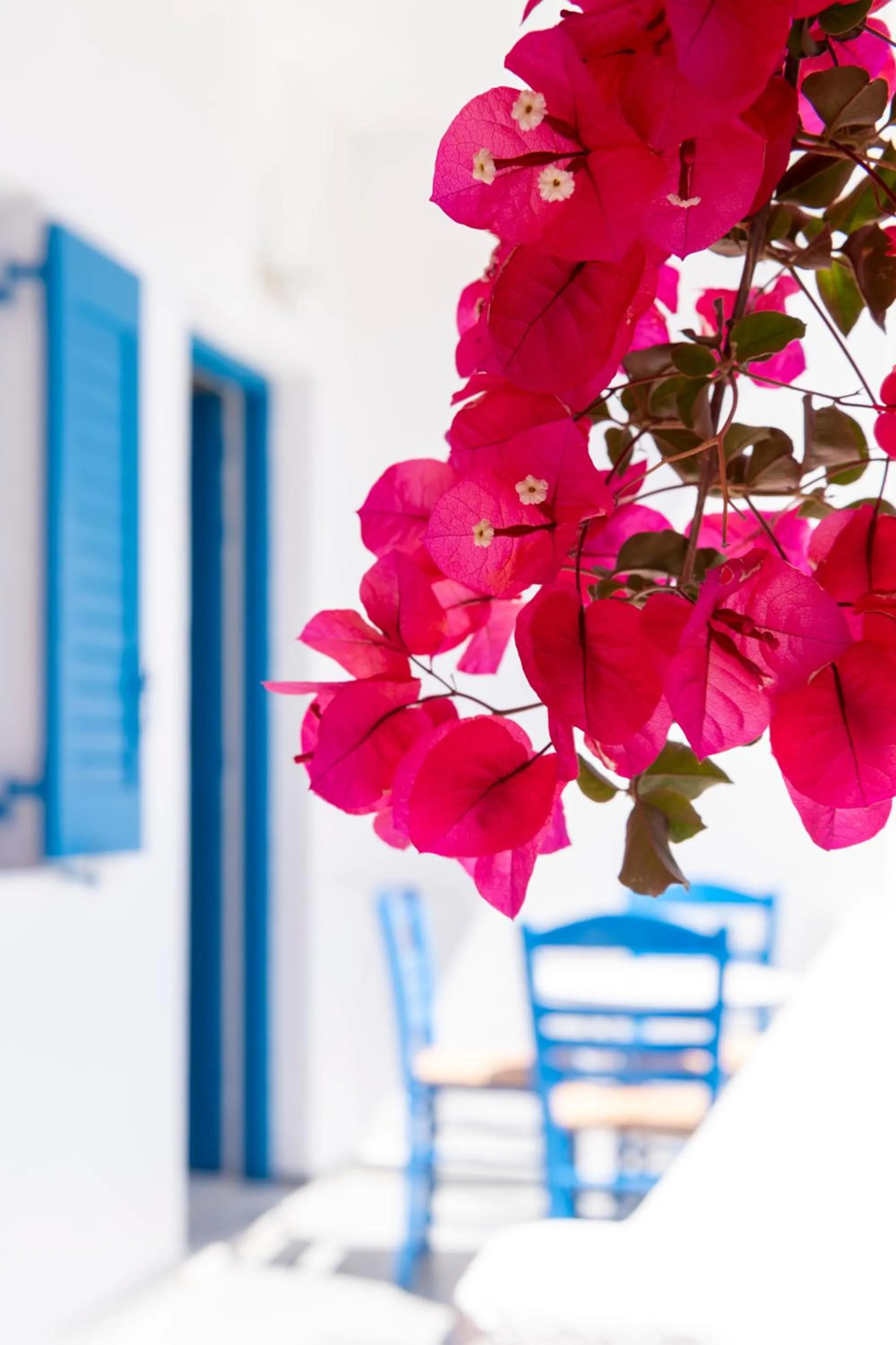 Patio in Ayeri Hotel