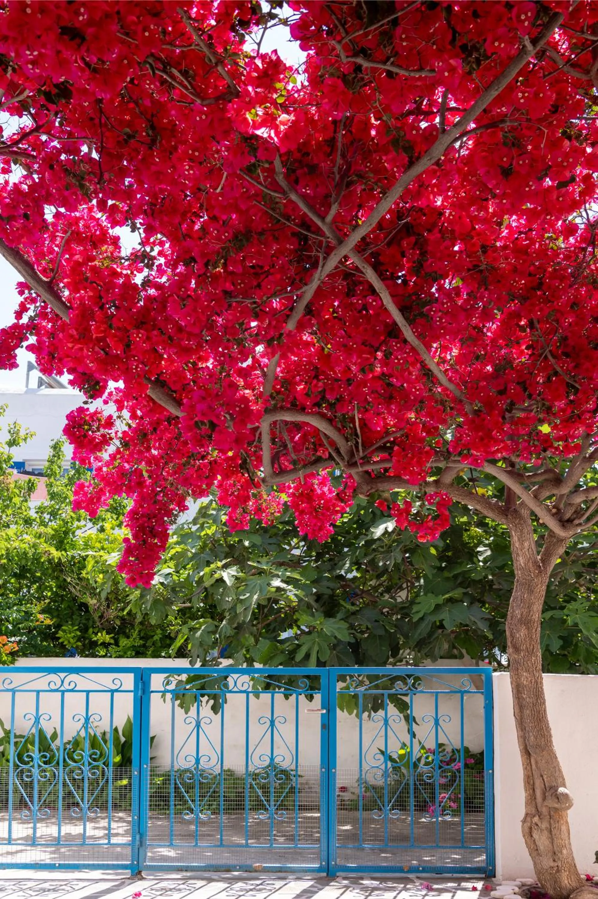 Balcony/Terrace in Ayeri Hotel
