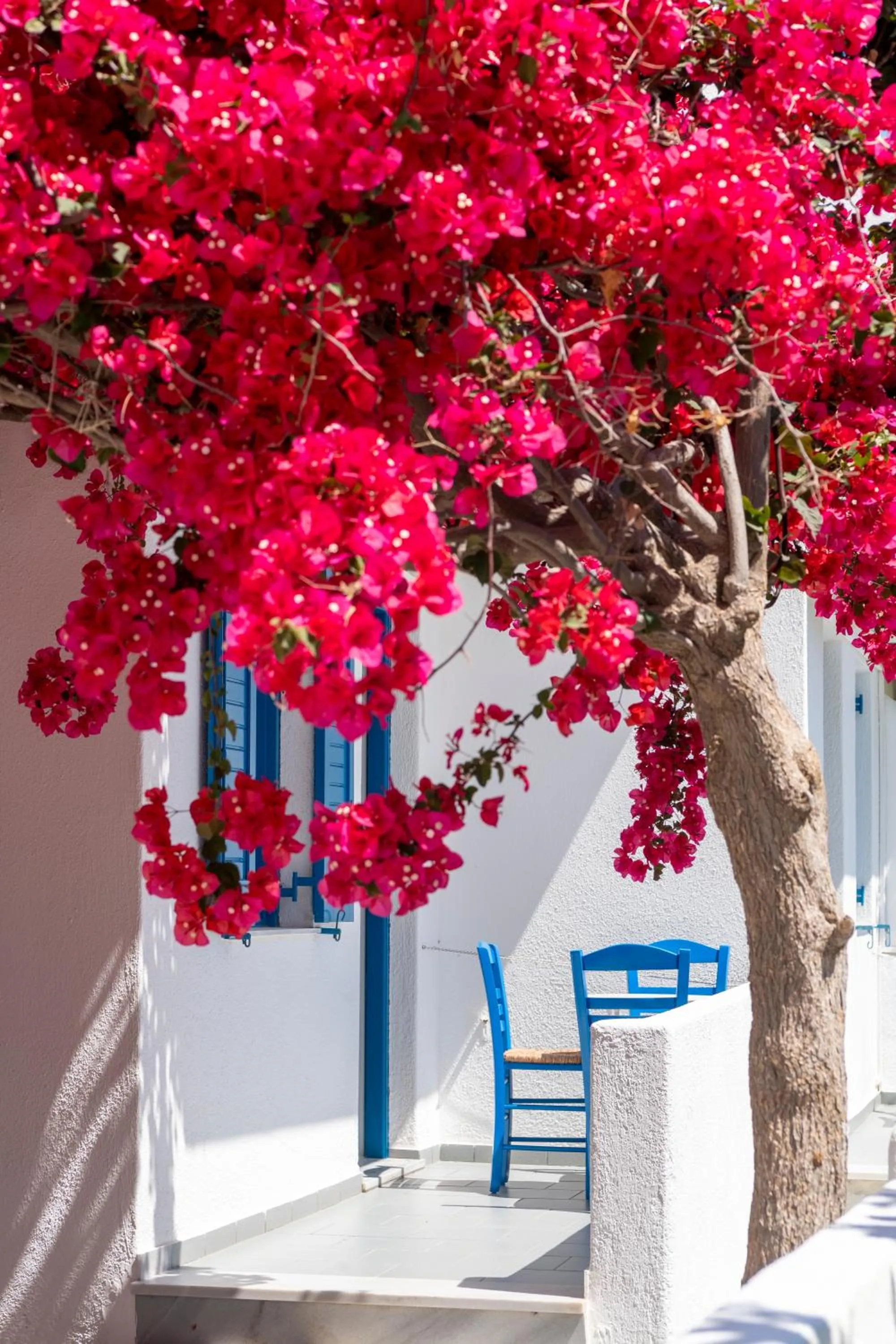 Balcony/Terrace in Ayeri Hotel