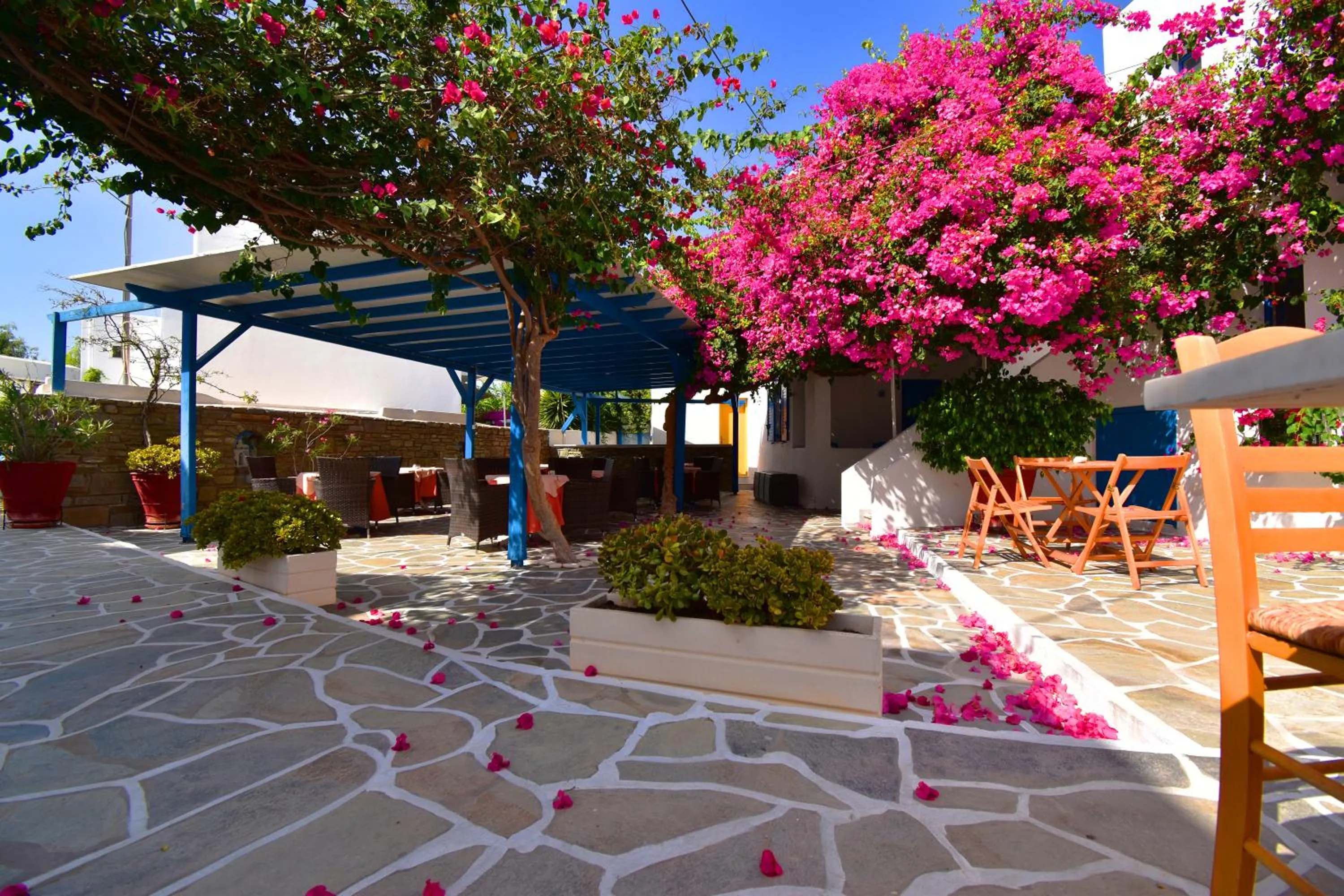 Patio in Ayeri Hotel