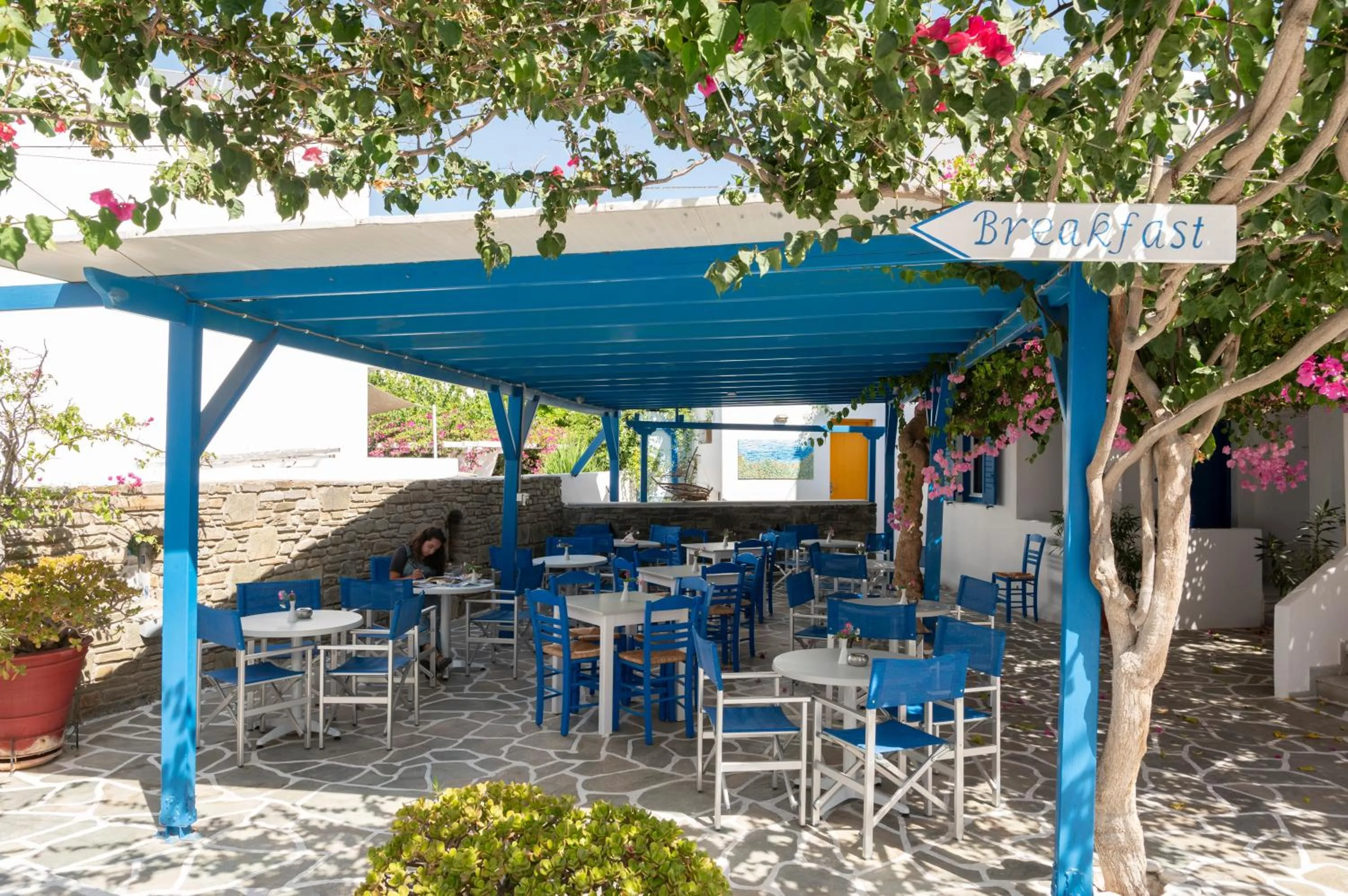 Restaurant/places to eat in Ayeri Hotel