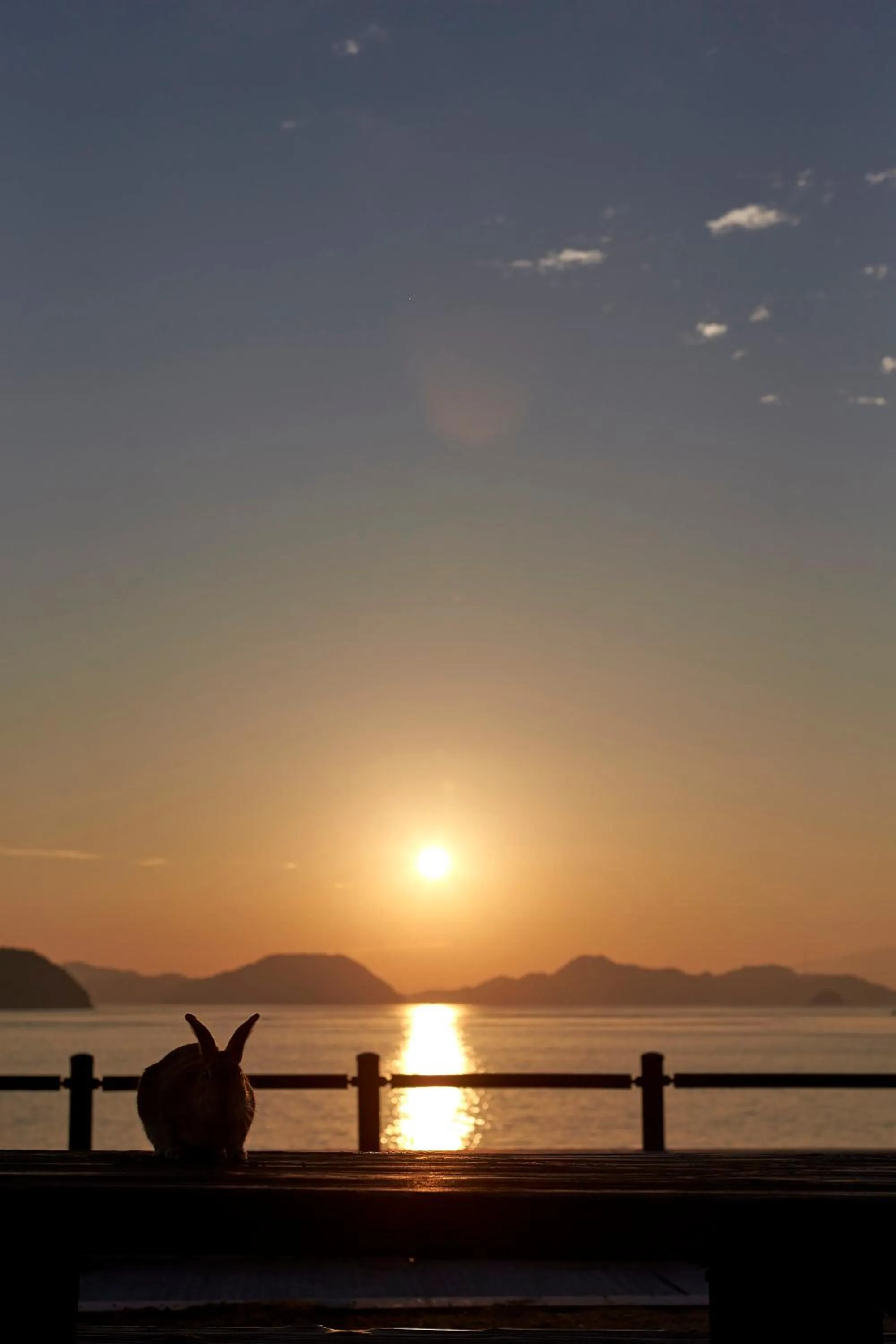 Kyukamura Ohkunoshima