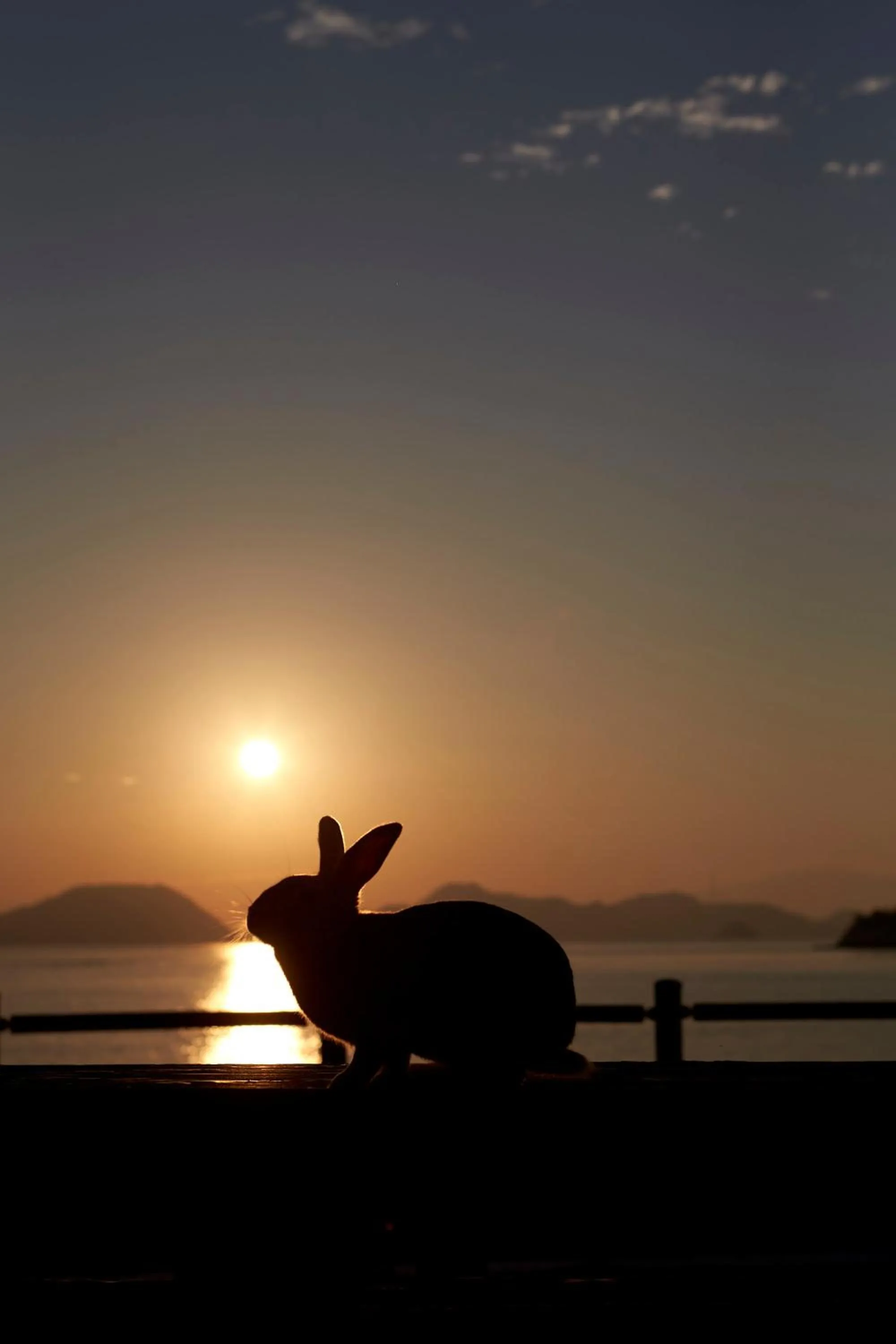 Kyukamura Ohkunoshima